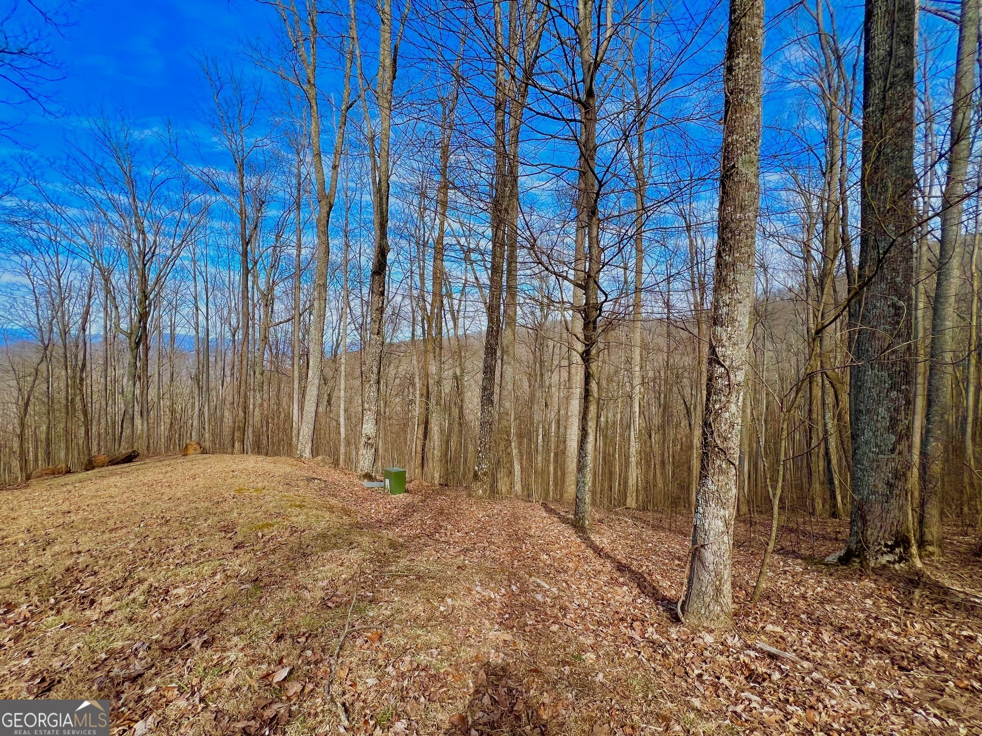 57 Rim Rock Property Photo 4