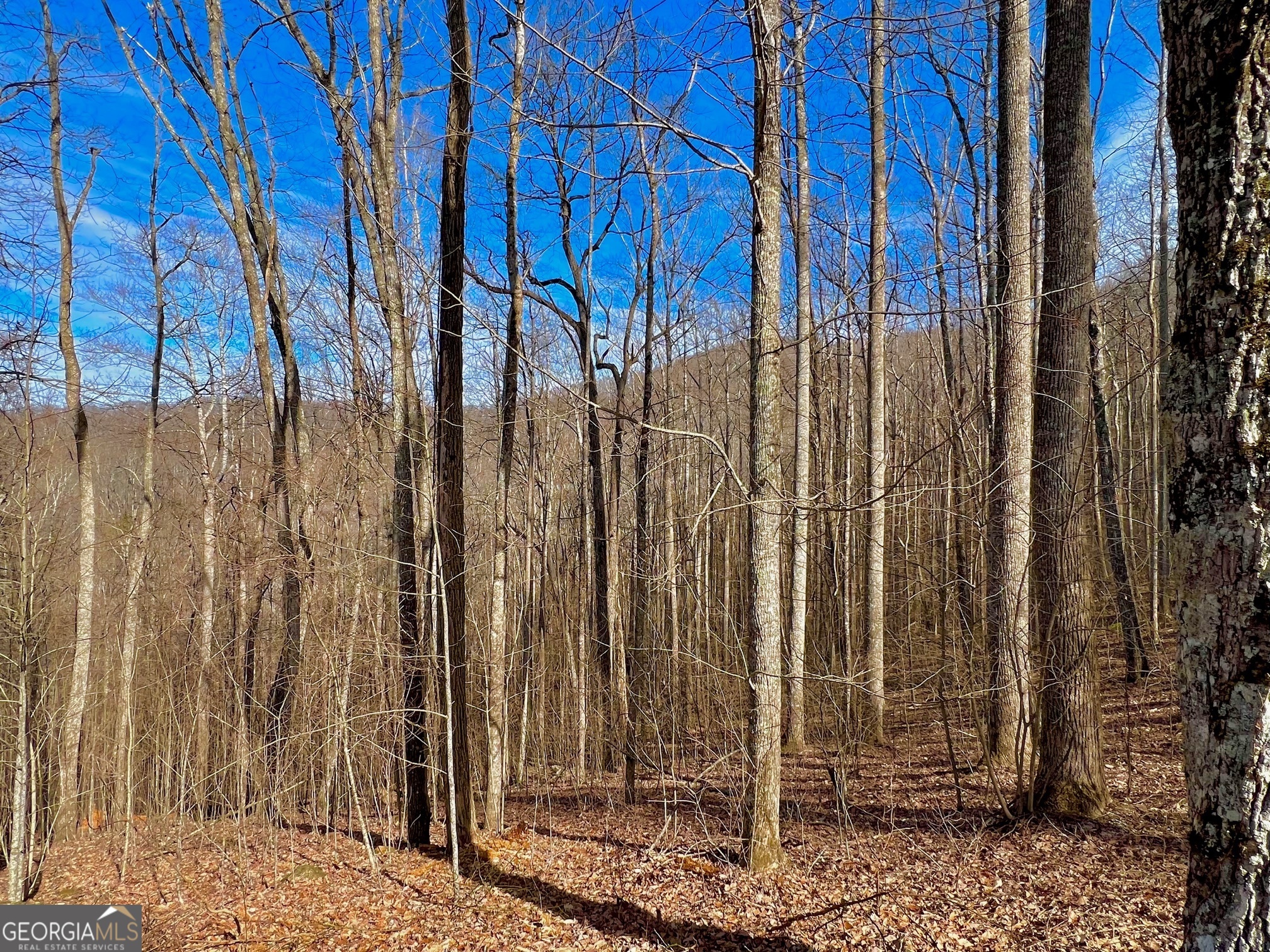 57 Rim Rock Property Photo 6