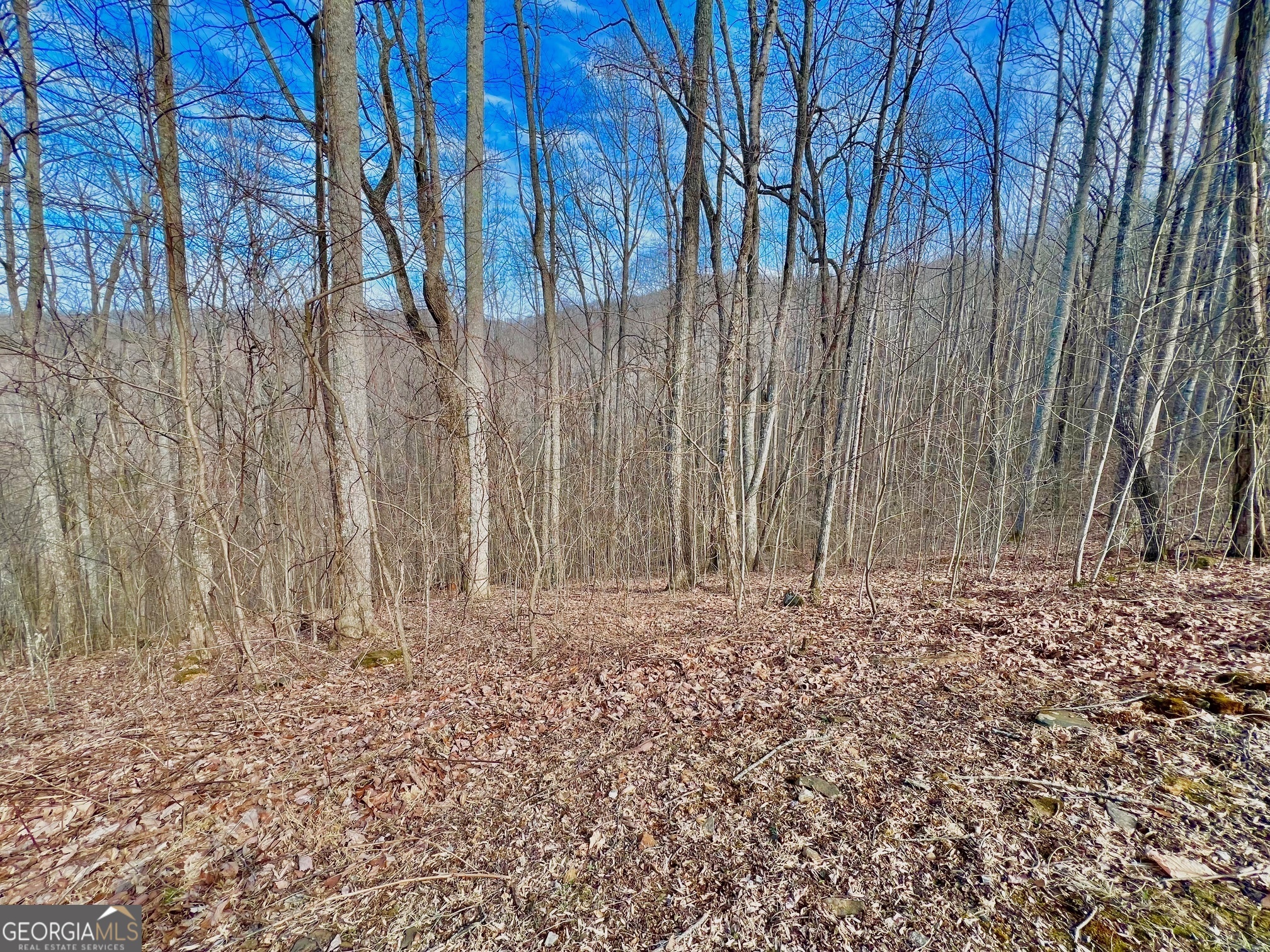 57 Rim Rock Property Photo 7