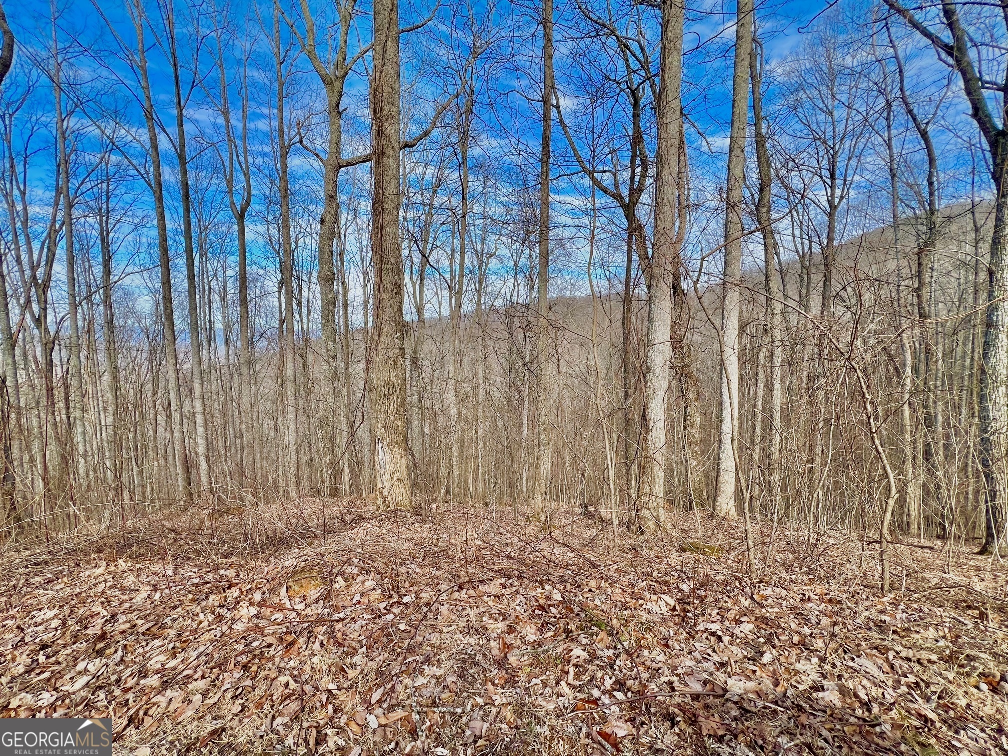 57 Rim Rock Property Photo 11