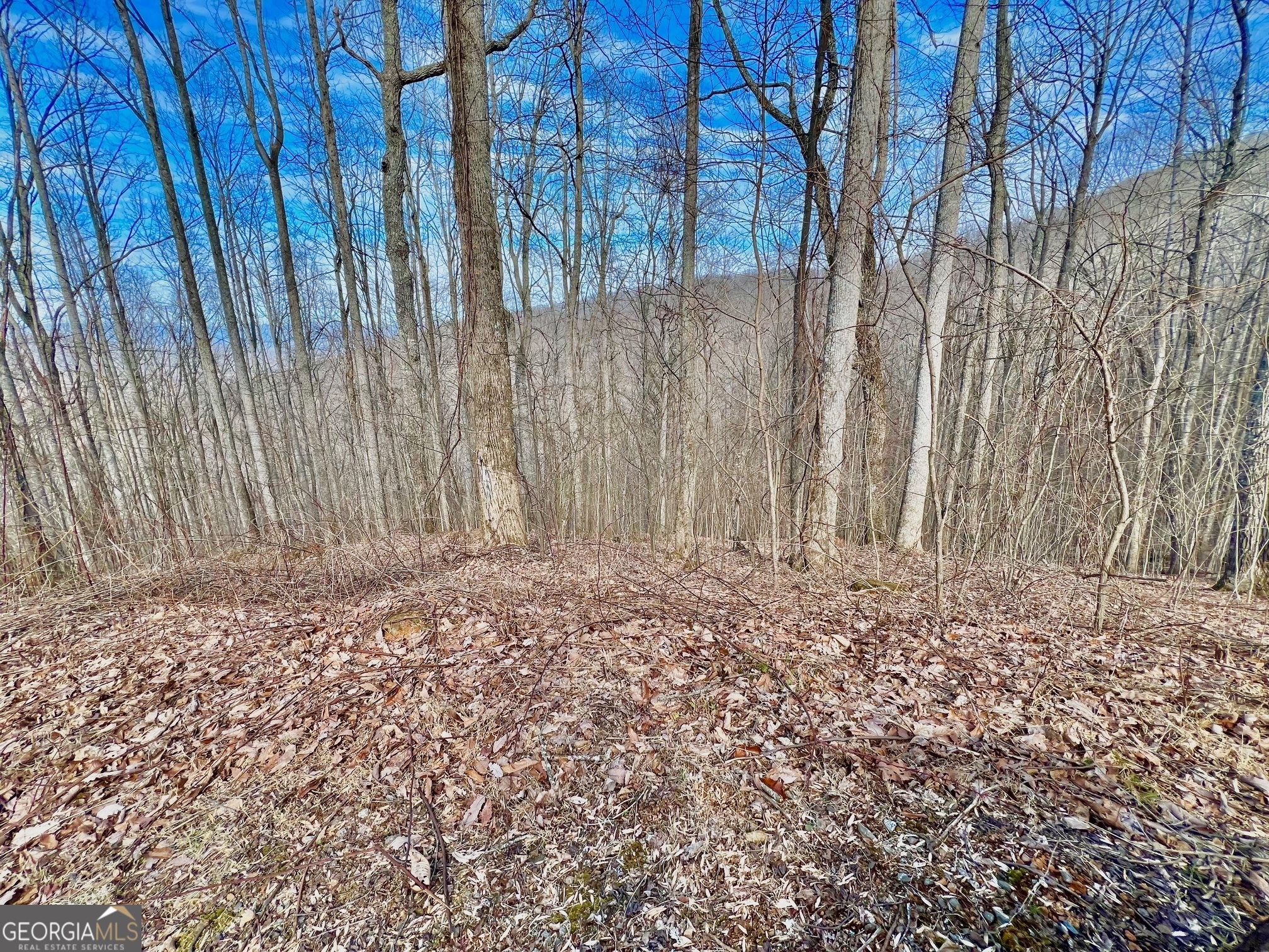 57 Rim Rock Property Photo 12