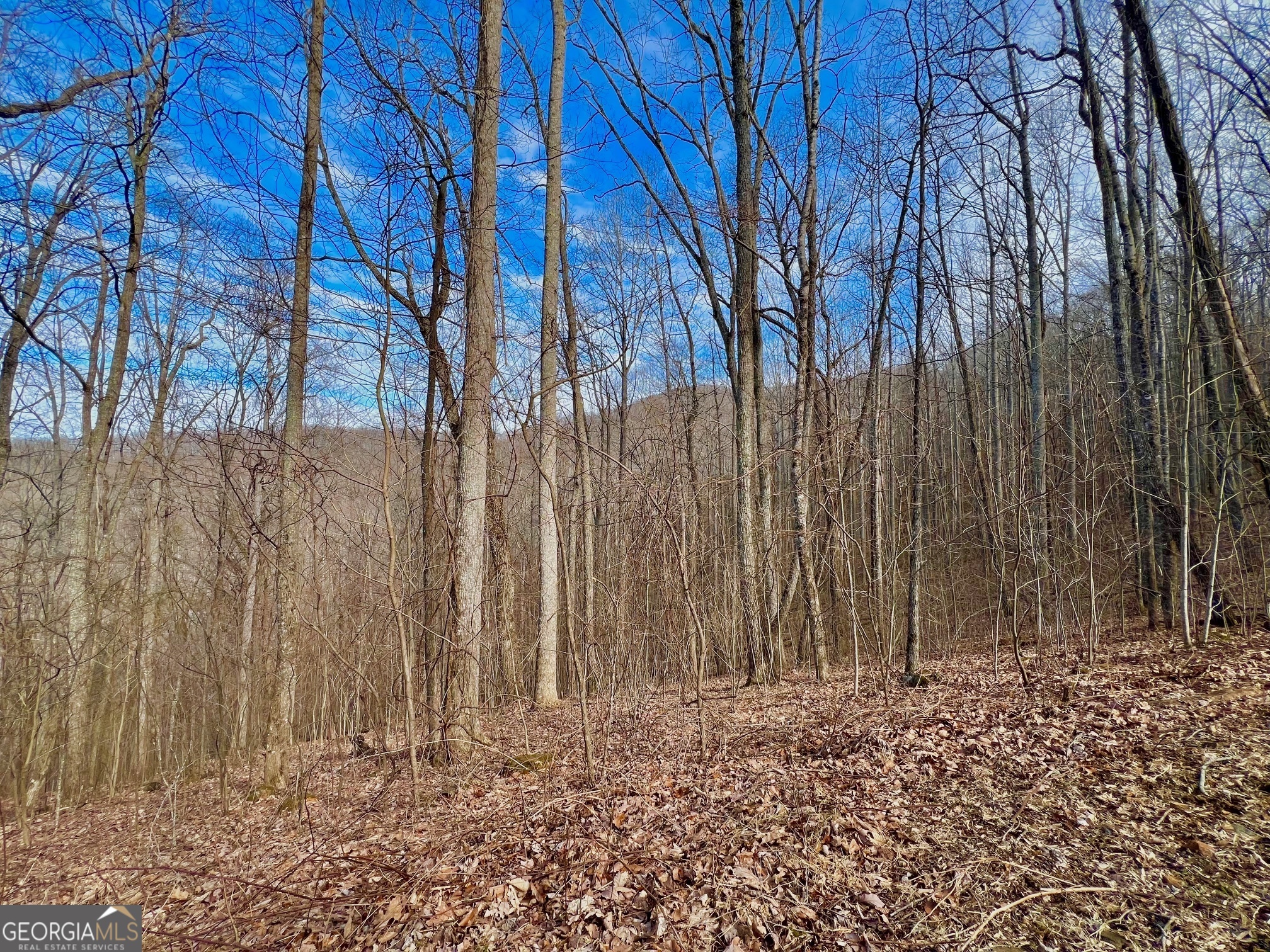 57 Rim Rock Property Photo 13