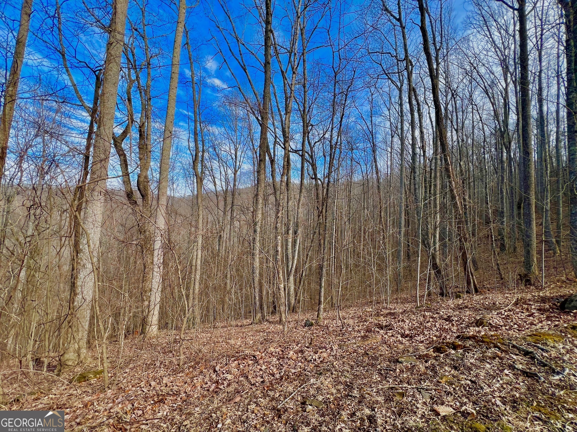 57 Rim Rock Property Photo 14
