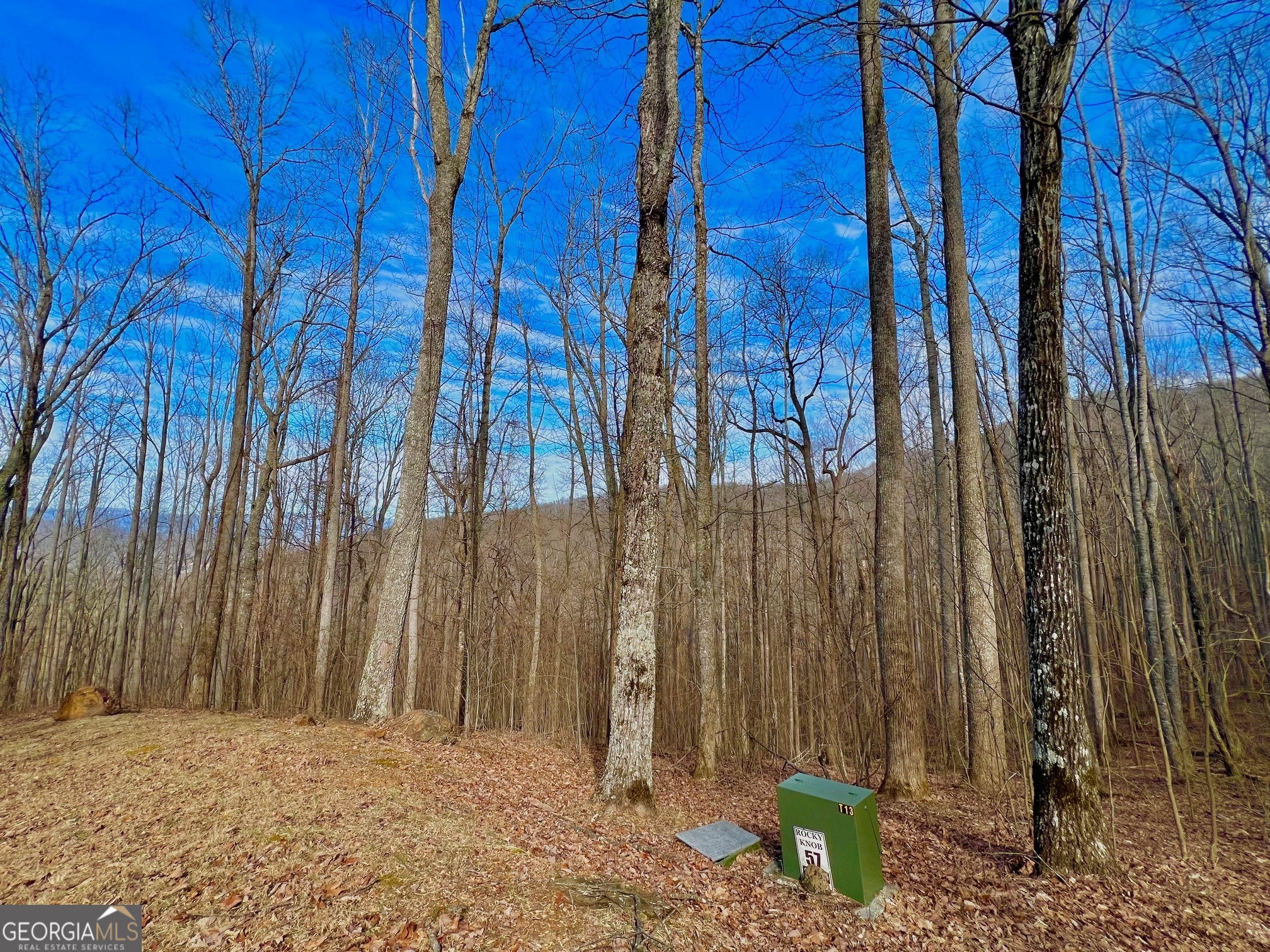 57 Rim Rock Property Photo 15