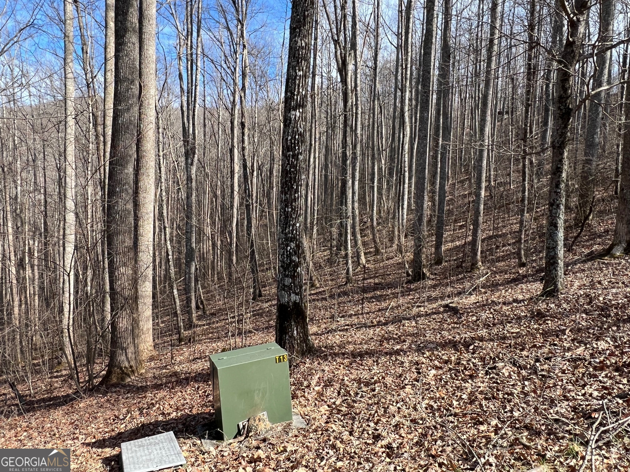 57 Rim Rock Property Photo 17