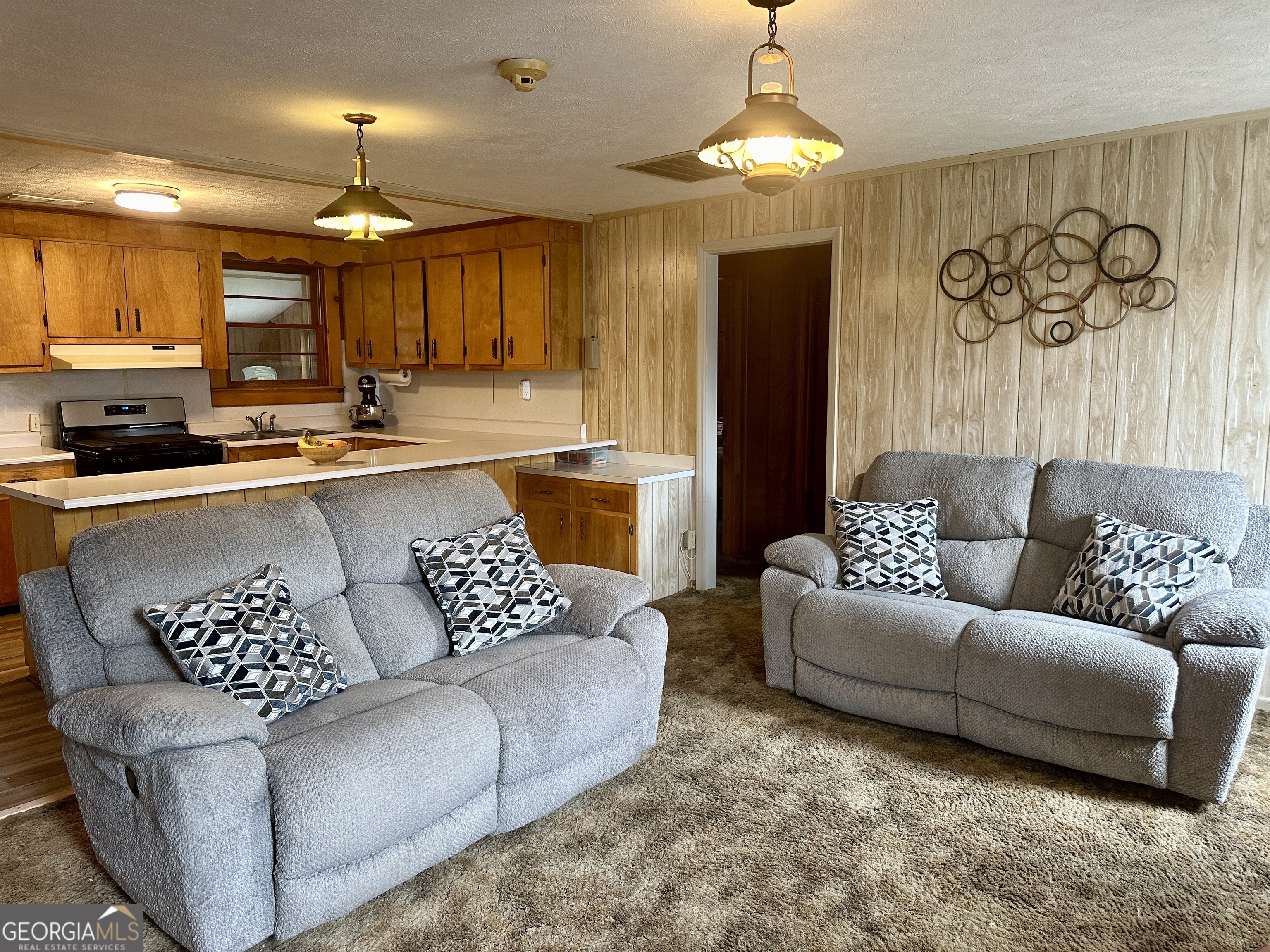 411 Ga-57 Property Photo 9