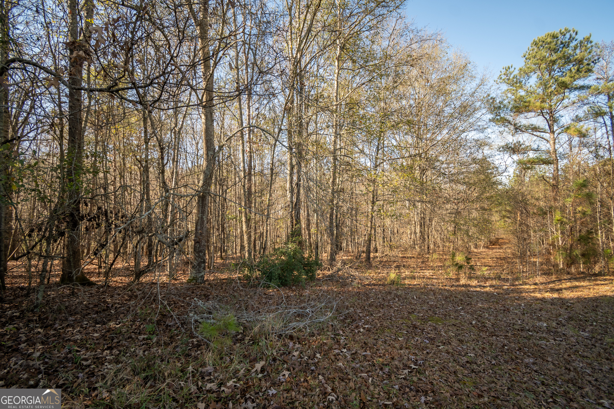 0 Lavista Road Property Photo 1