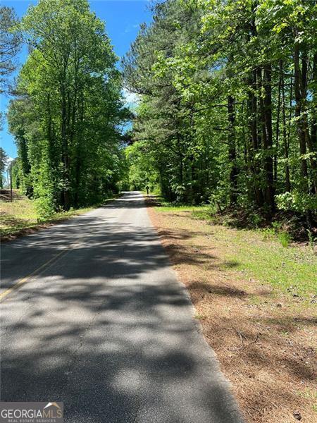 0 Madison Sanders Road Property Photo 2