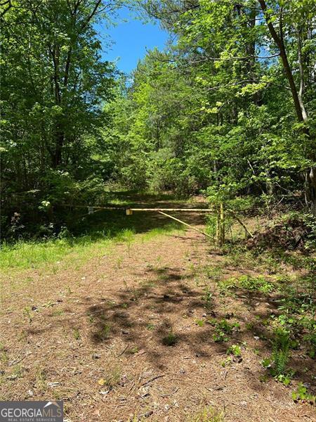 0 Madison Sanders Road Property Photo 6