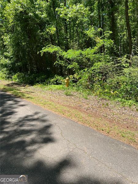 0 Madison Sanders Road Property Photo 7