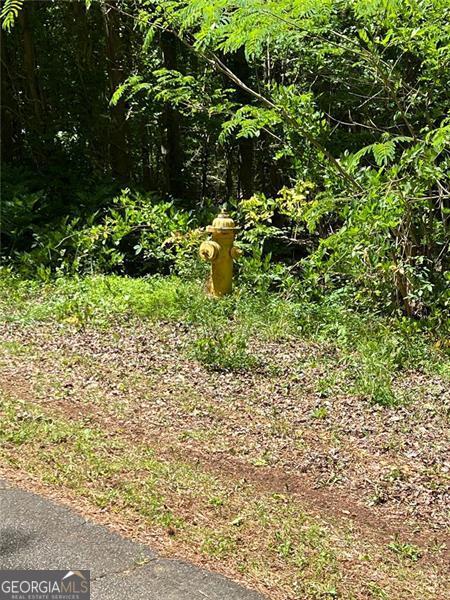 0 Madison Sanders Road Property Photo 8
