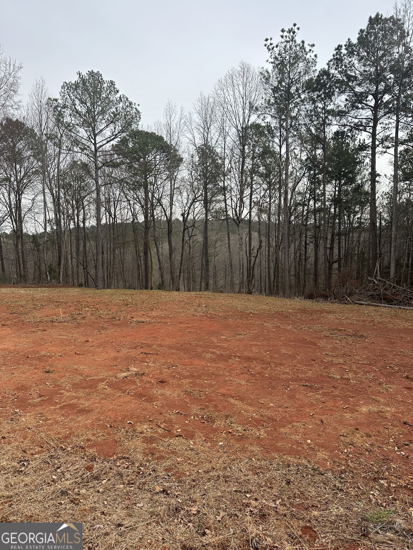0 Whatley North Road Property Photo