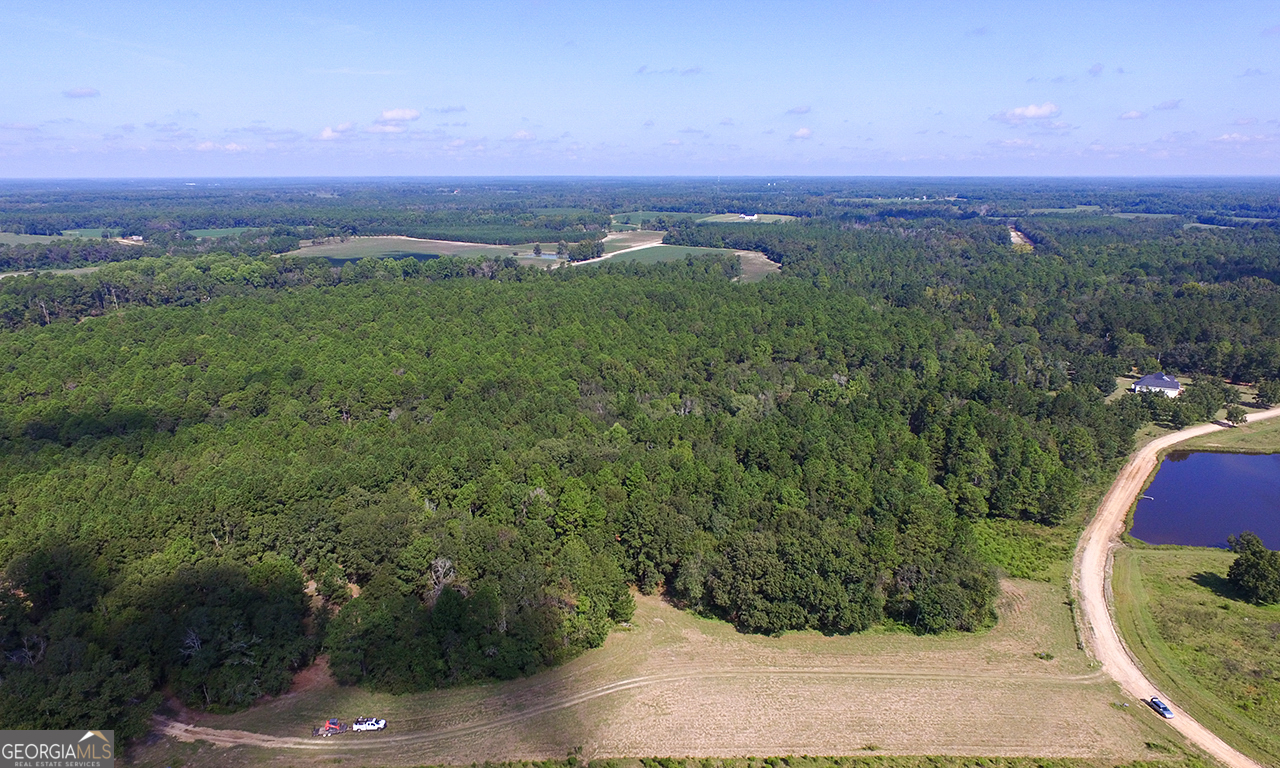 2120 Banks Dairy Road Property Photo 4