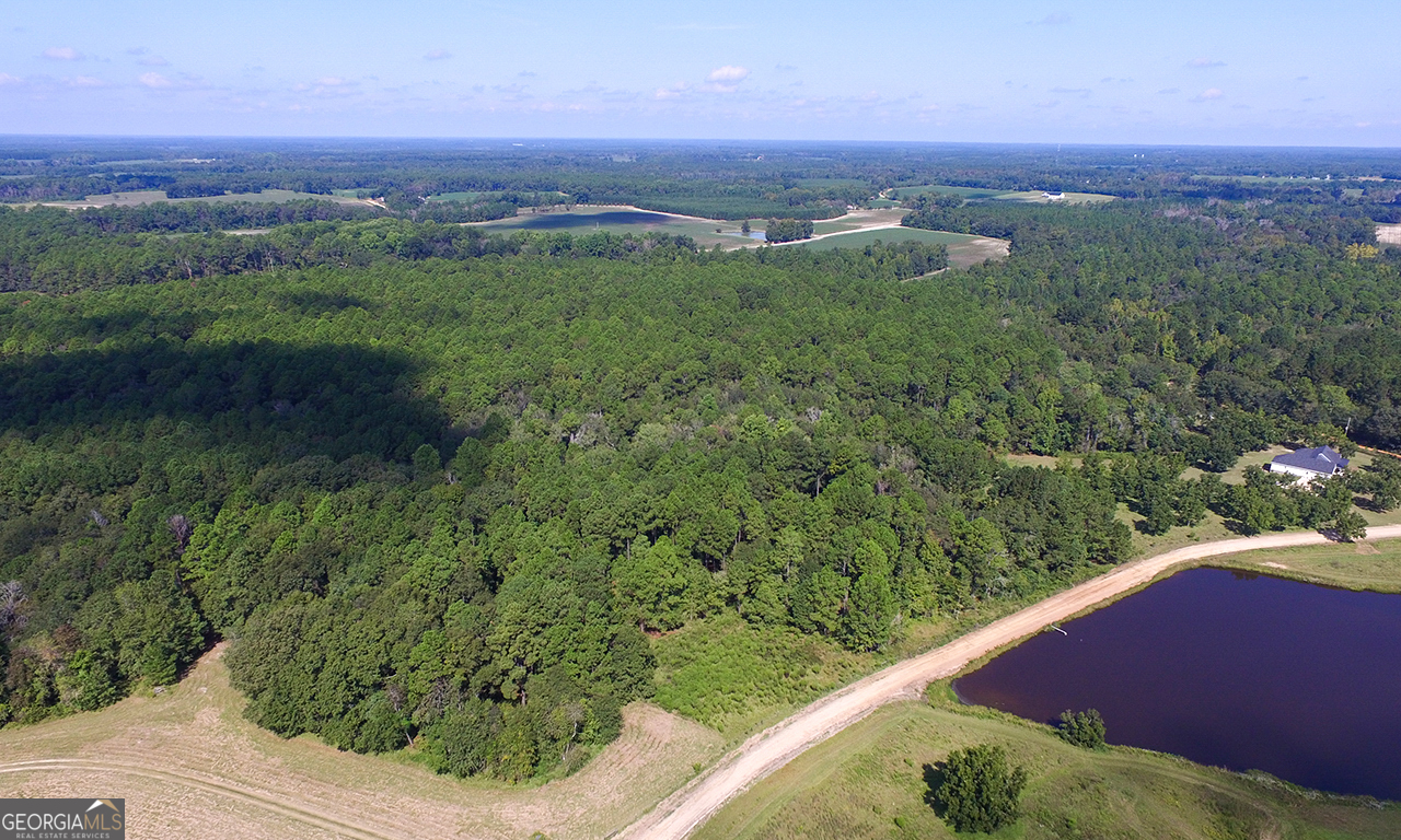 2120 Banks Dairy Road Property Photo 9