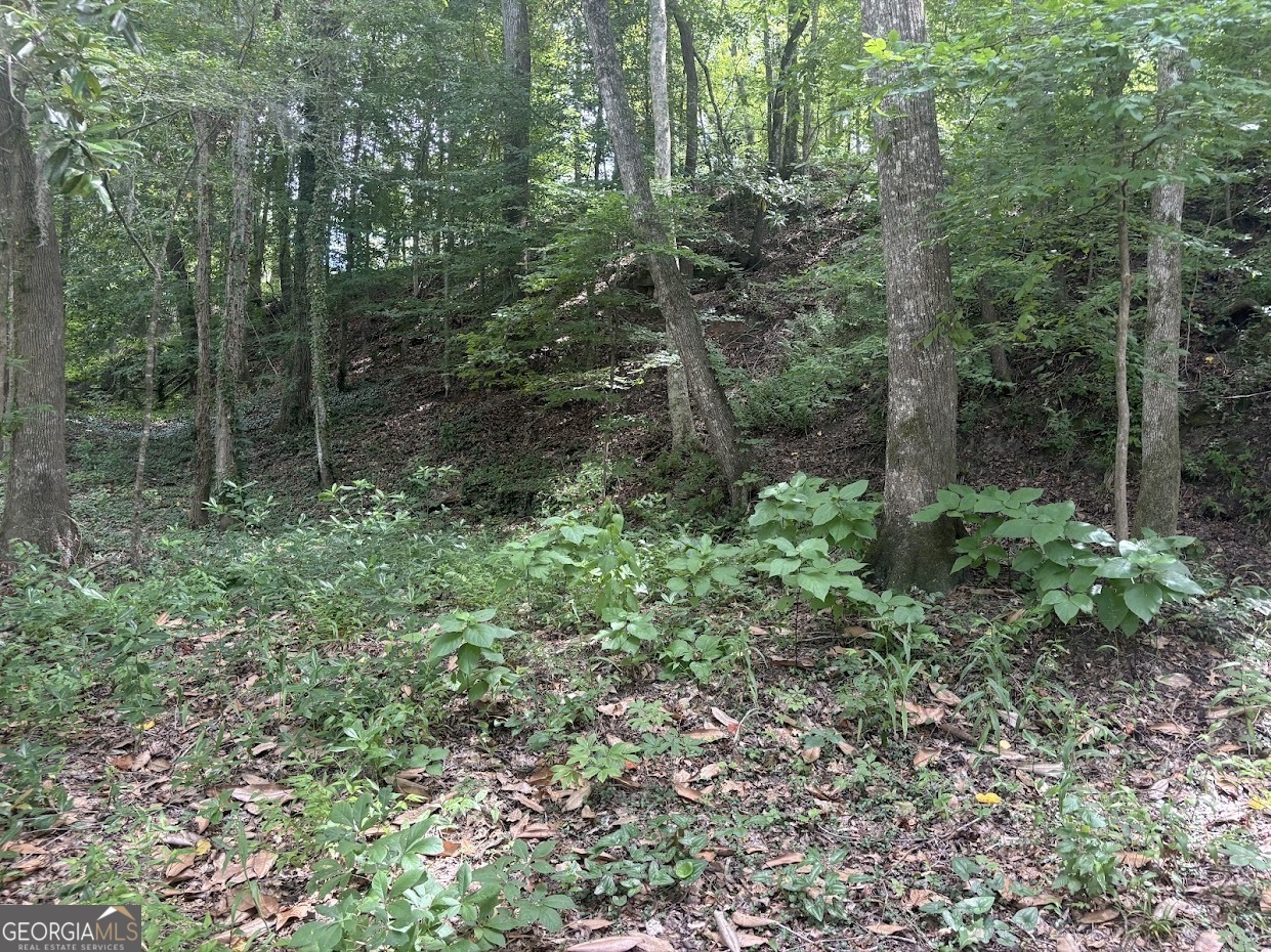 282 Tuckasee King Road Property Photo 5