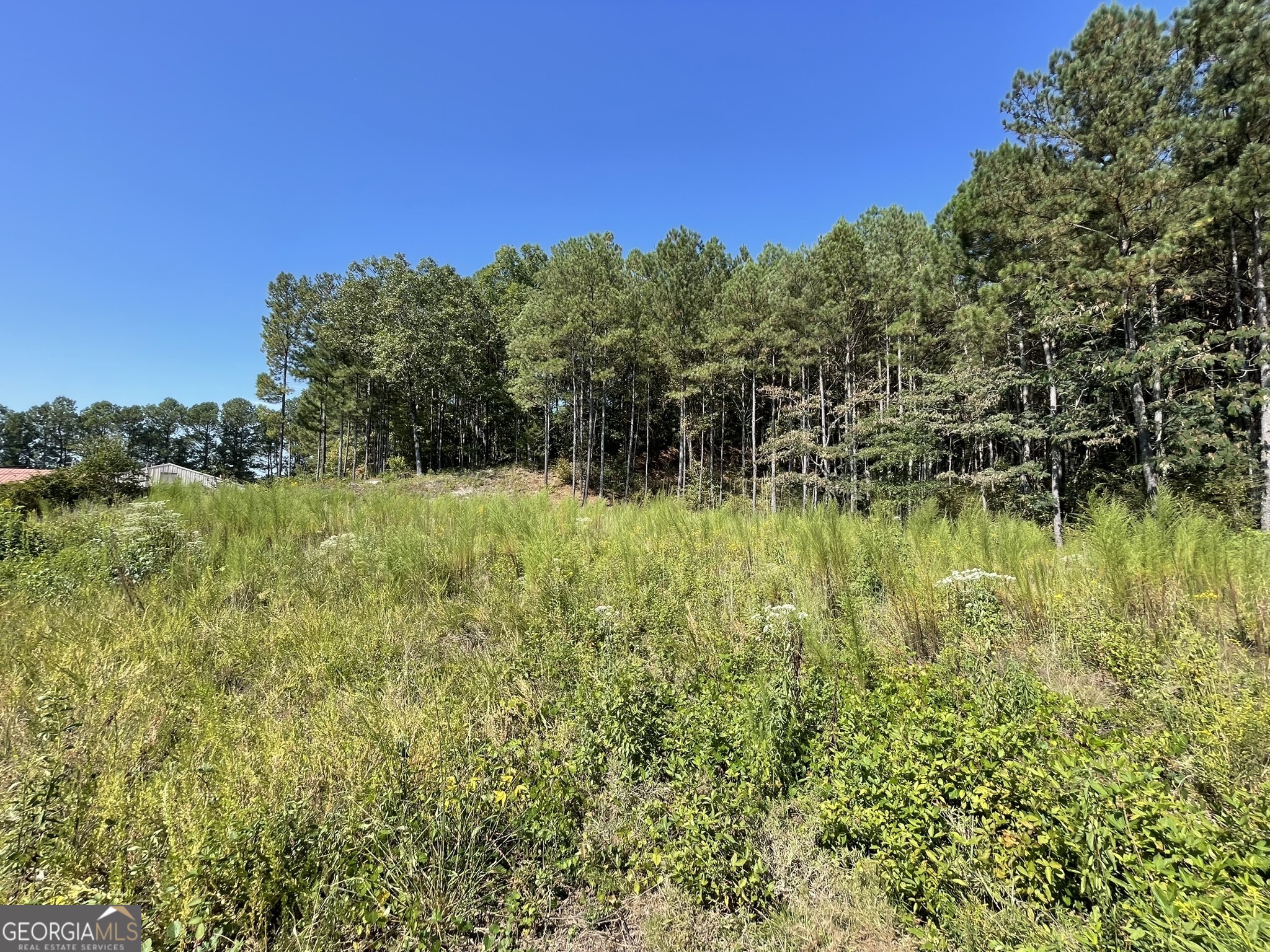 0 Stone Mountain Highway Property Photo 4