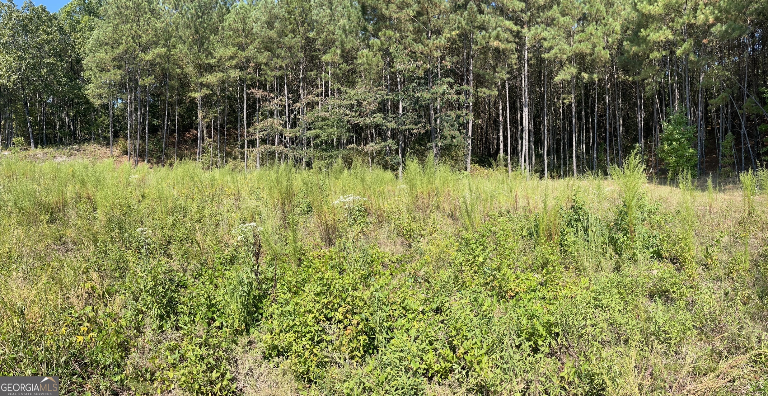 0 Stone Mountain Highway Property Photo 4