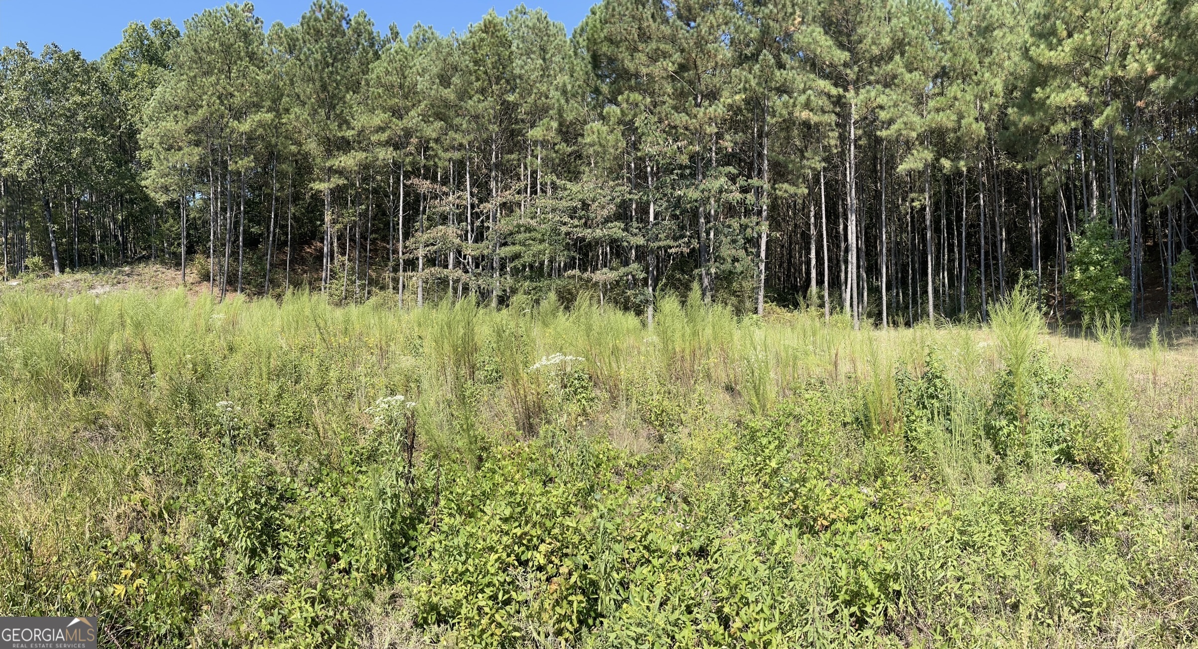 0 Stone Mountain Highway Property Photo 5