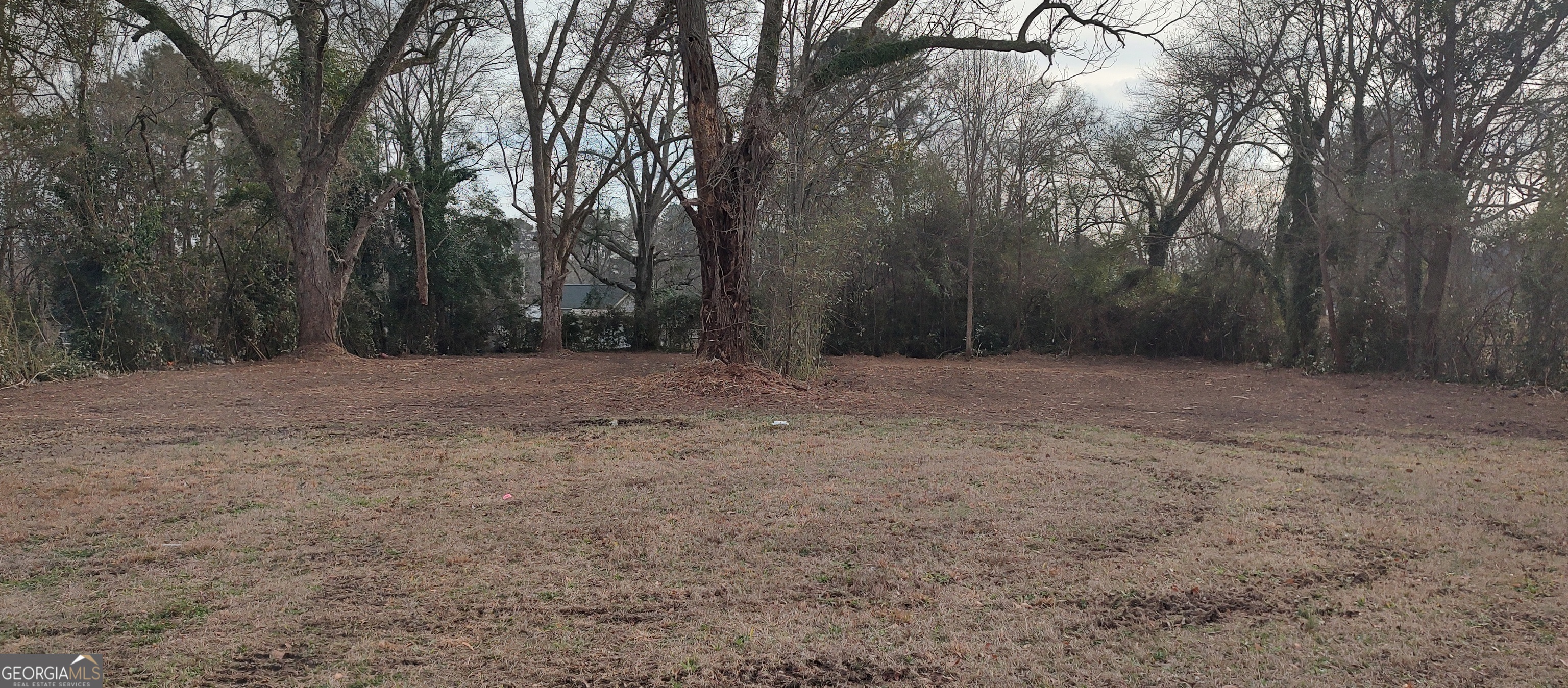 317 W College Street Property Photo 2