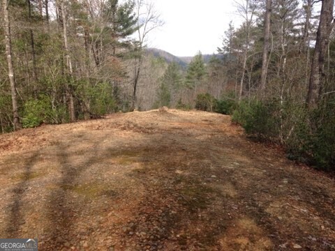 0 Wolf Howl Trail # 1 Property Photo 3