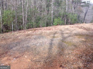 0 Wolf Howl Trail # 1 Property Photo 6