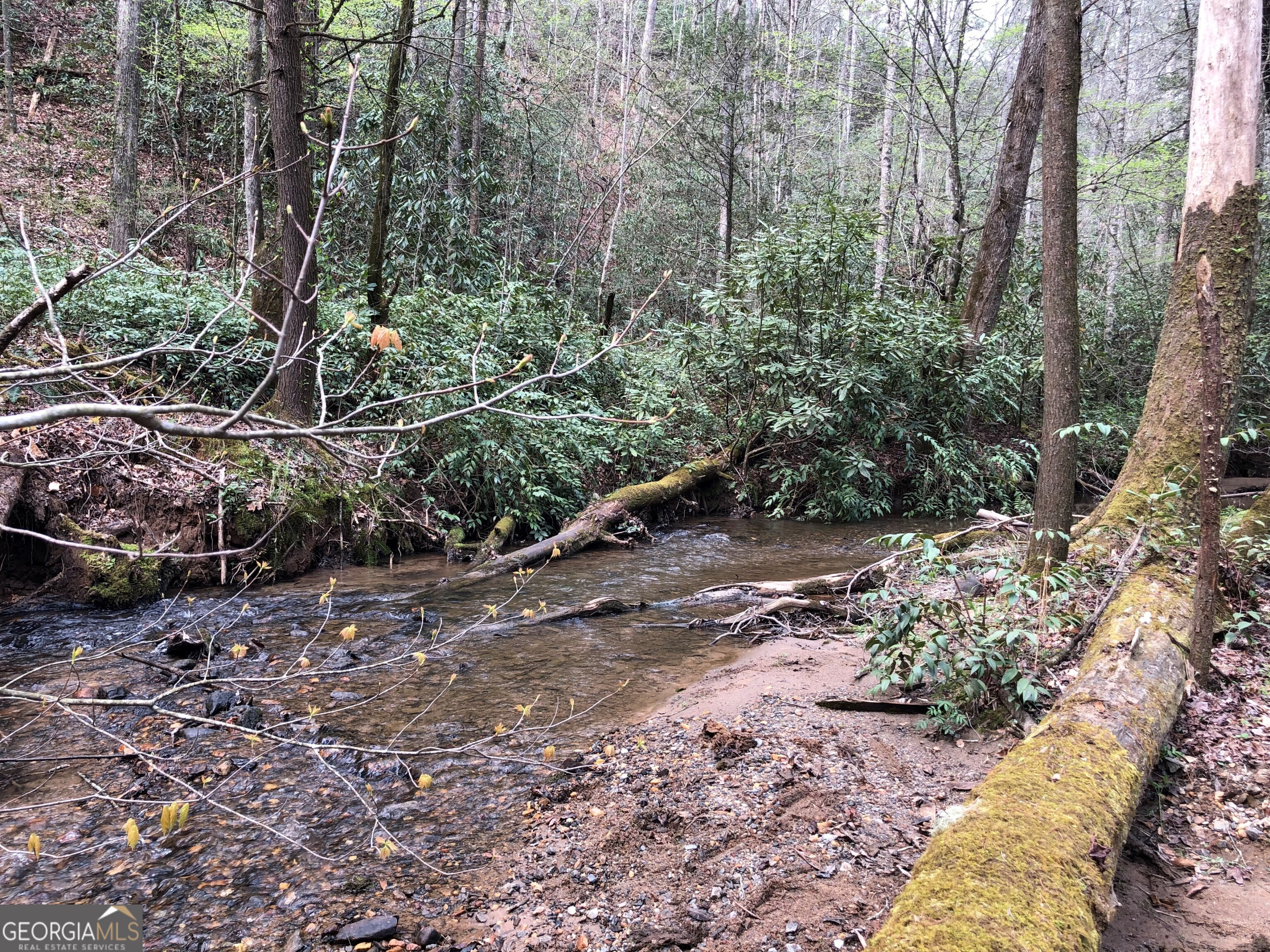 0 Wolf Howl Trail # 1 Property Photo 8