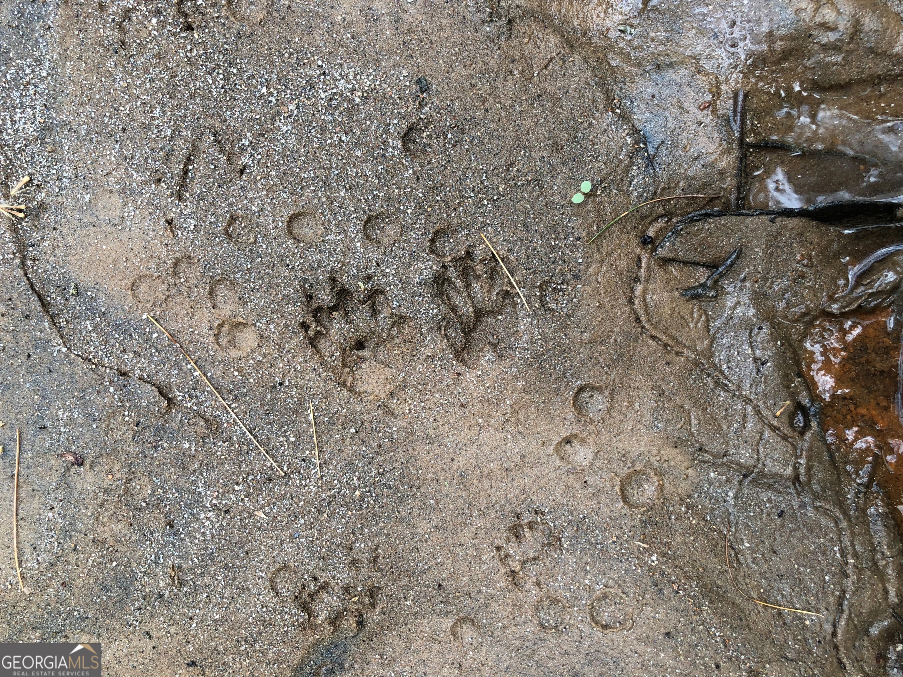 0 Wolf Howl Trail # 1 Property Photo 11