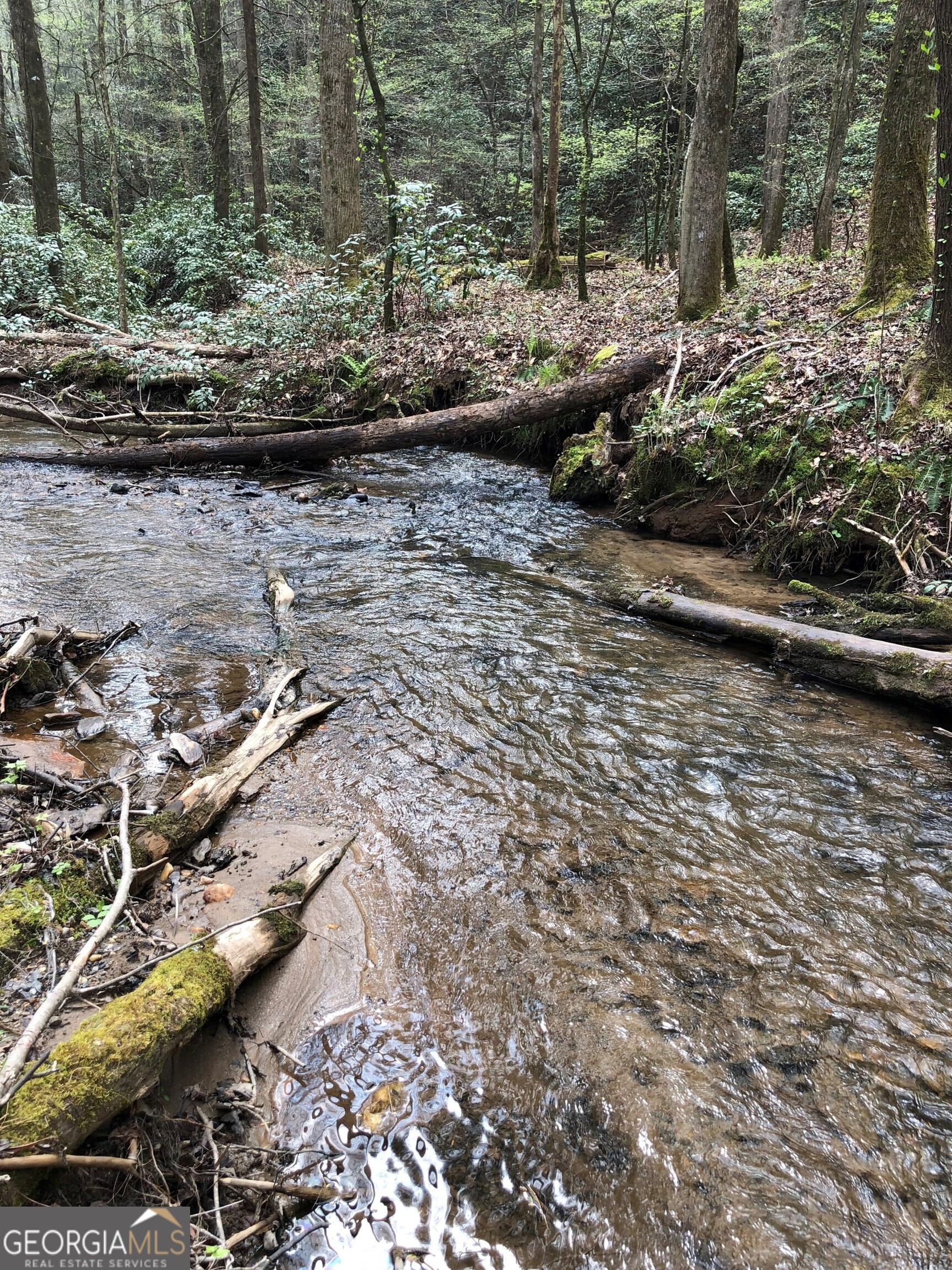 0 Wolf Howl Trail # 1 Property Photo 13