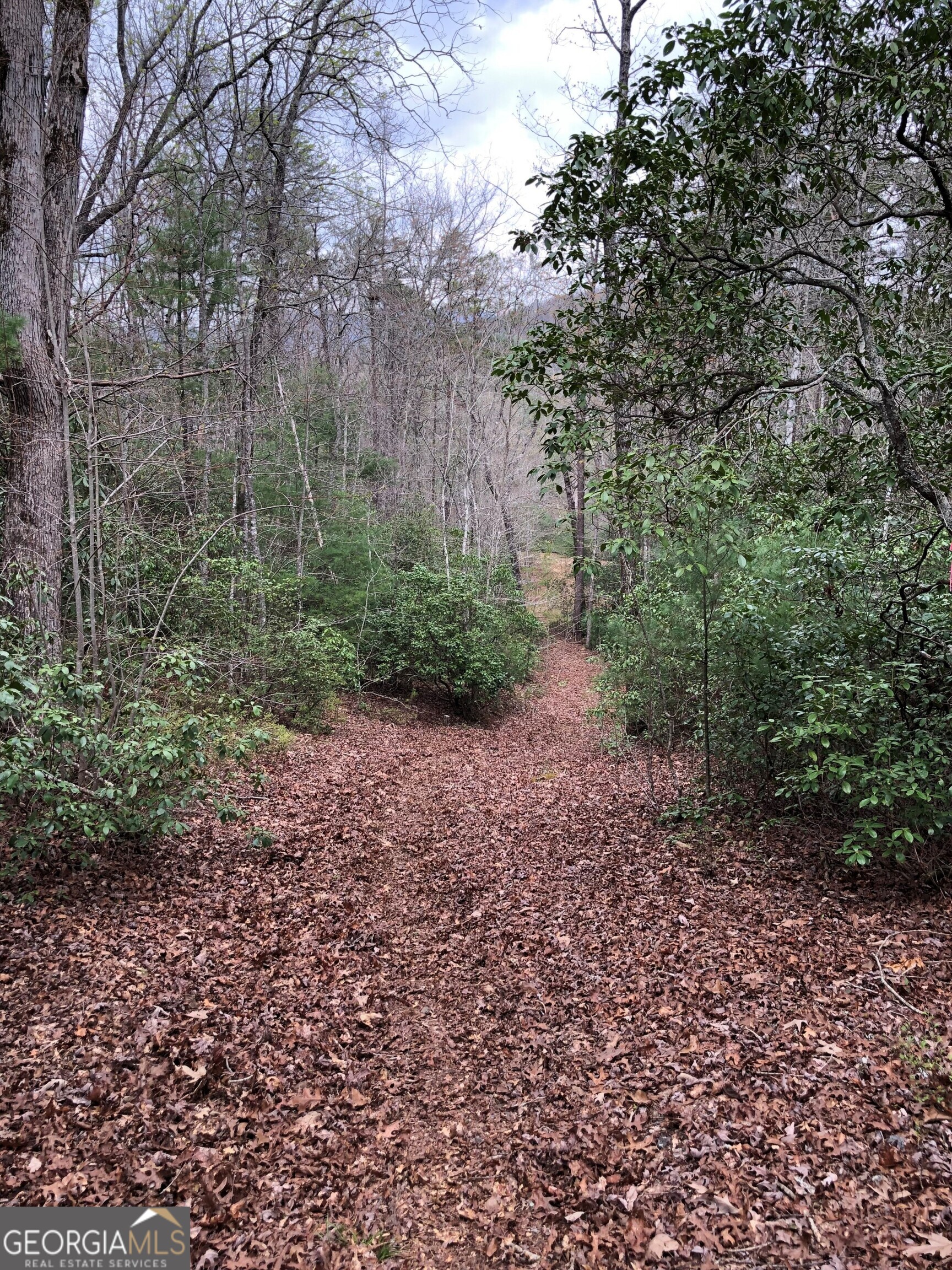 0 Wolf Howl Trail # 1 Property Photo 15