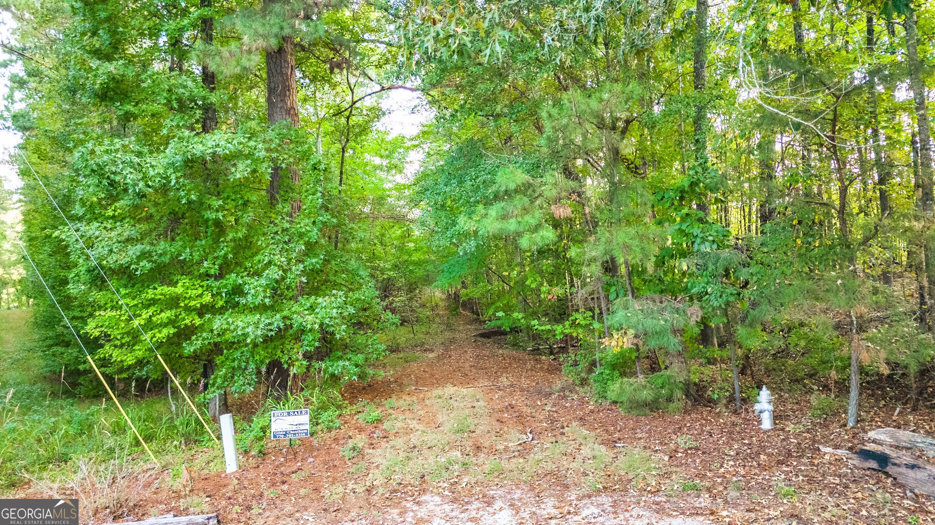 Lot 12 Meadowlark Drive Property Photo 6