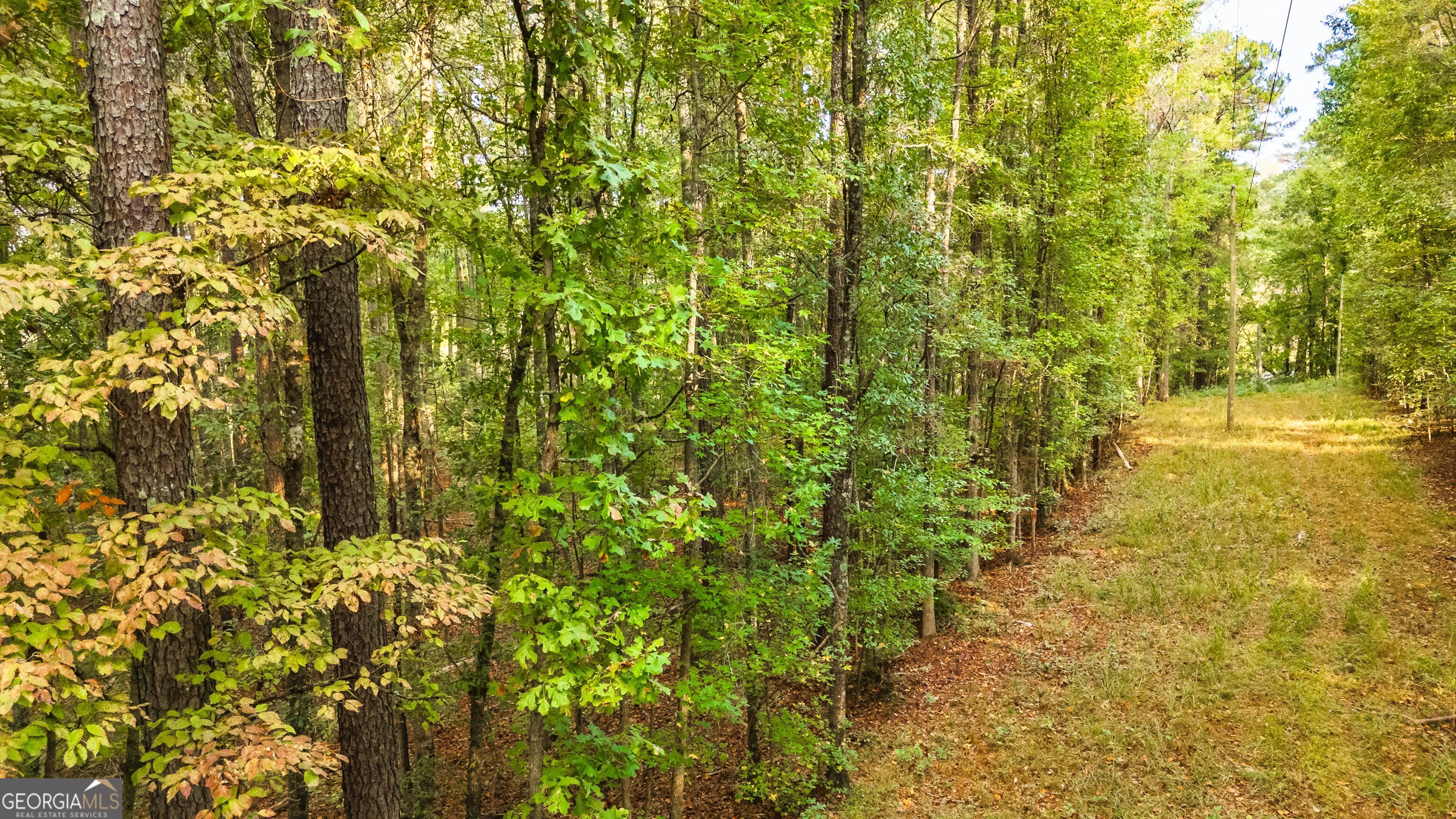 Lot 12 Meadowlark Drive Property Photo 19