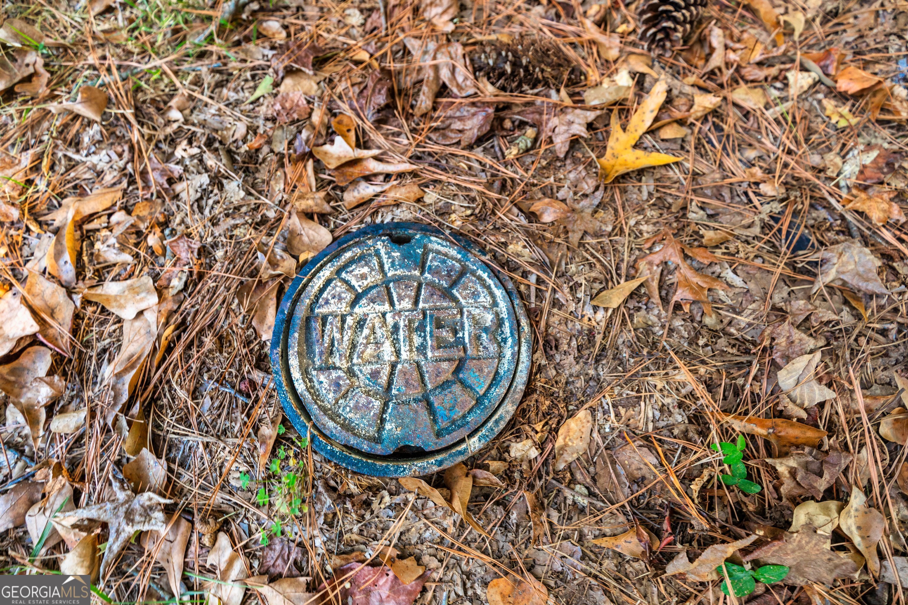 Lot 12 Meadowlark Drive Property Photo 22