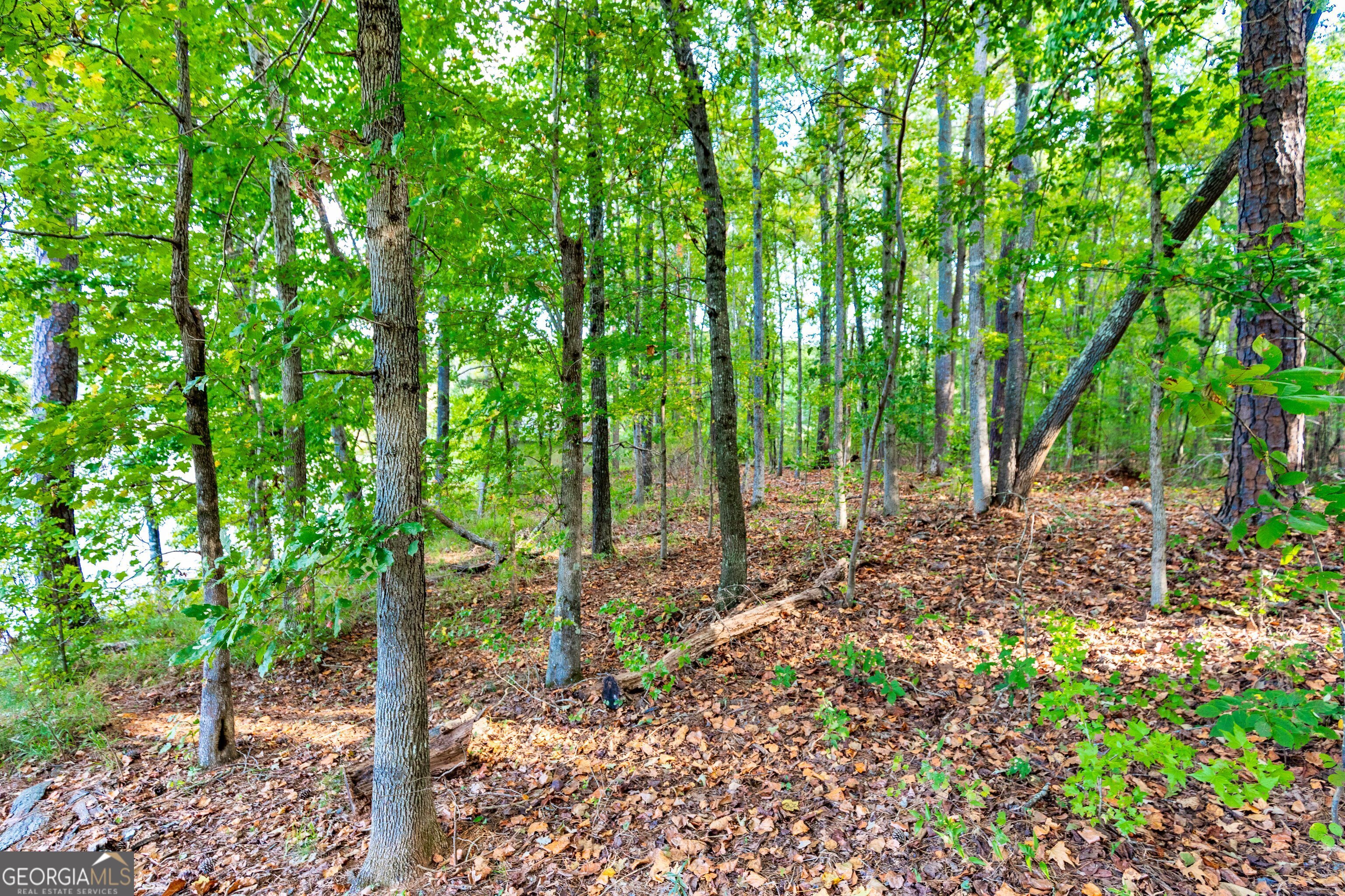 Lot 12 Meadowlark Drive Property Photo 24
