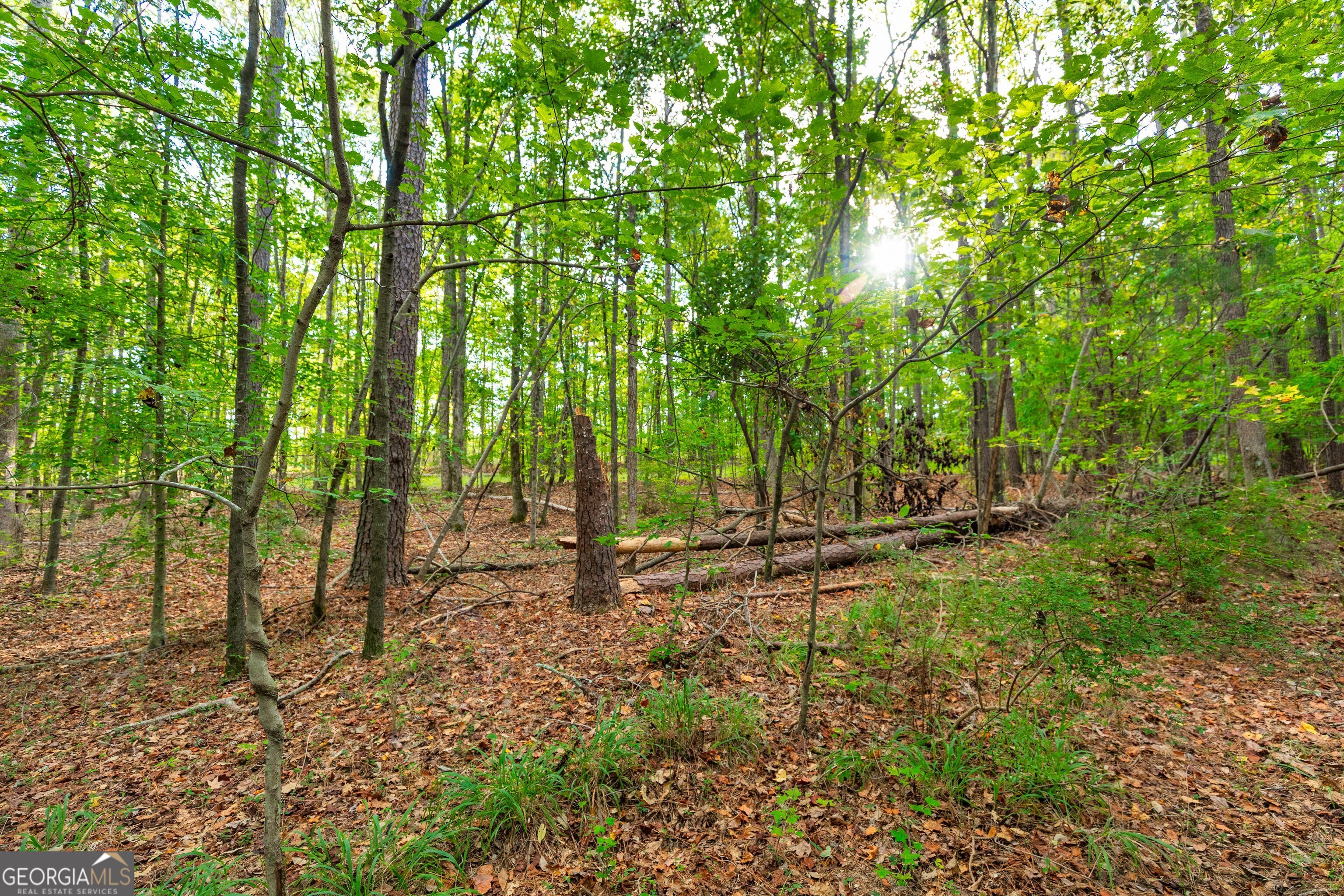 Lot 12 Meadowlark Drive Property Photo 32