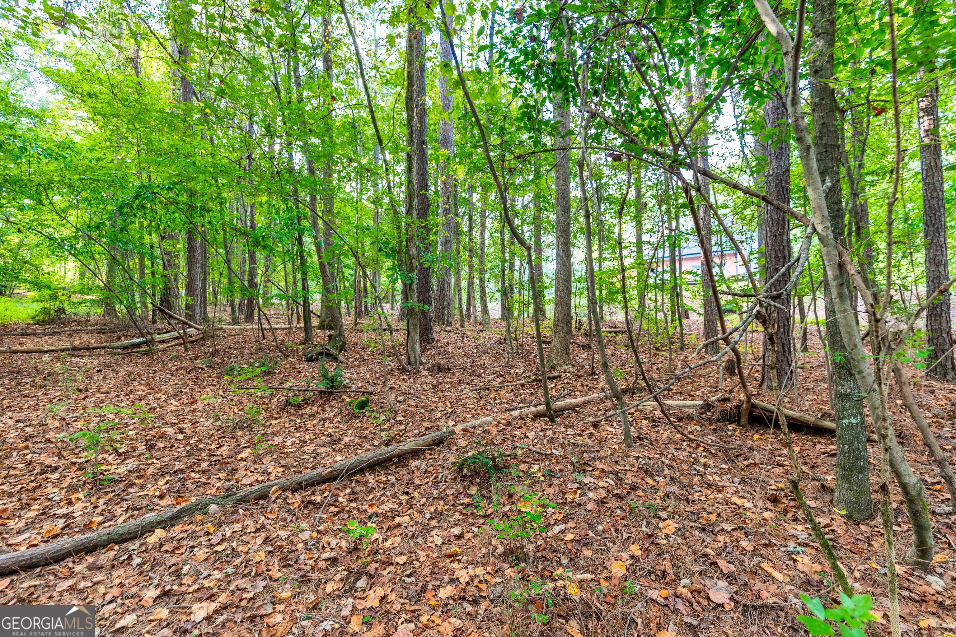 Lot 12 Meadowlark Drive Property Photo 33