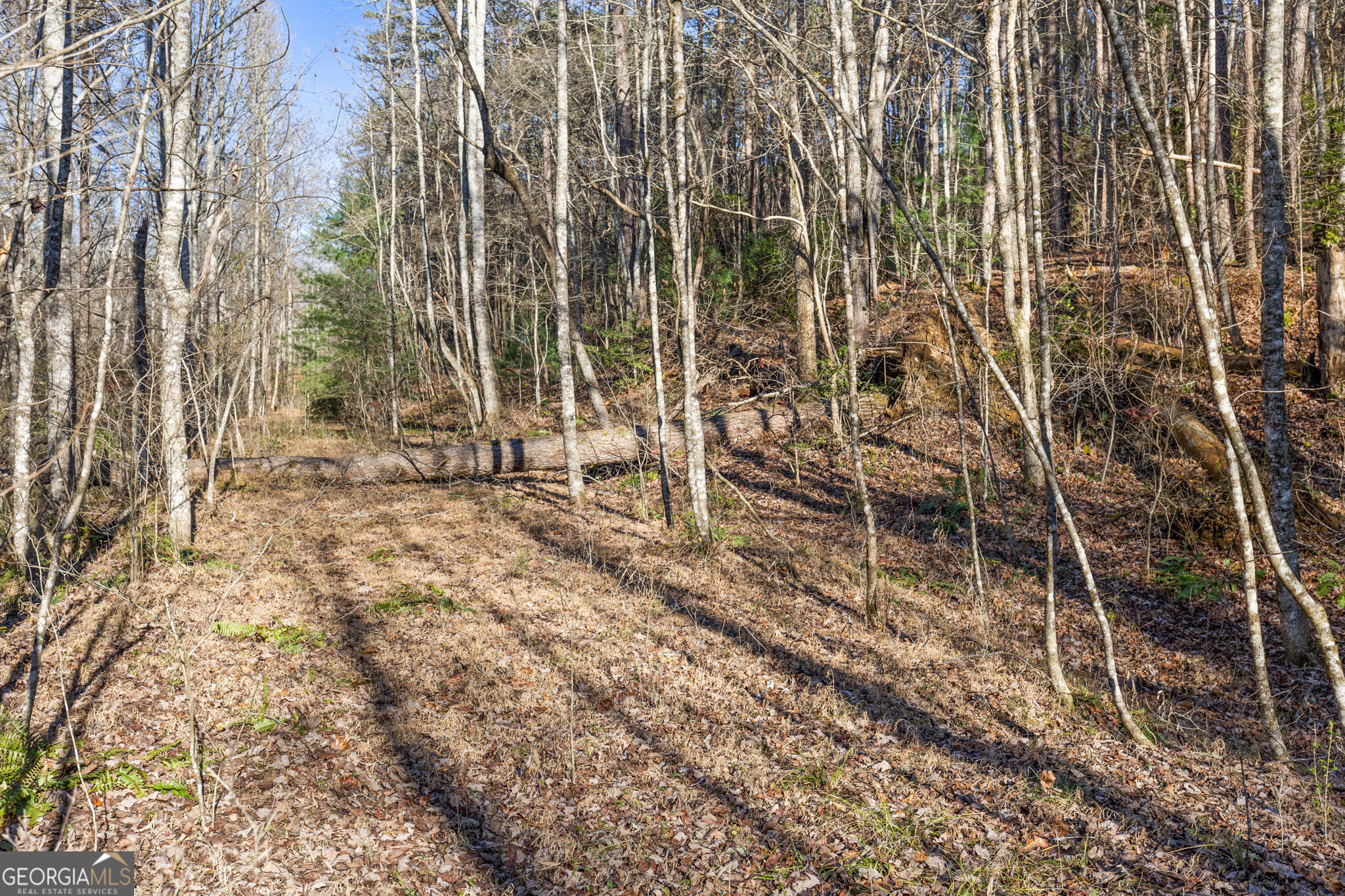 0 Scots Glen Property Photo 5