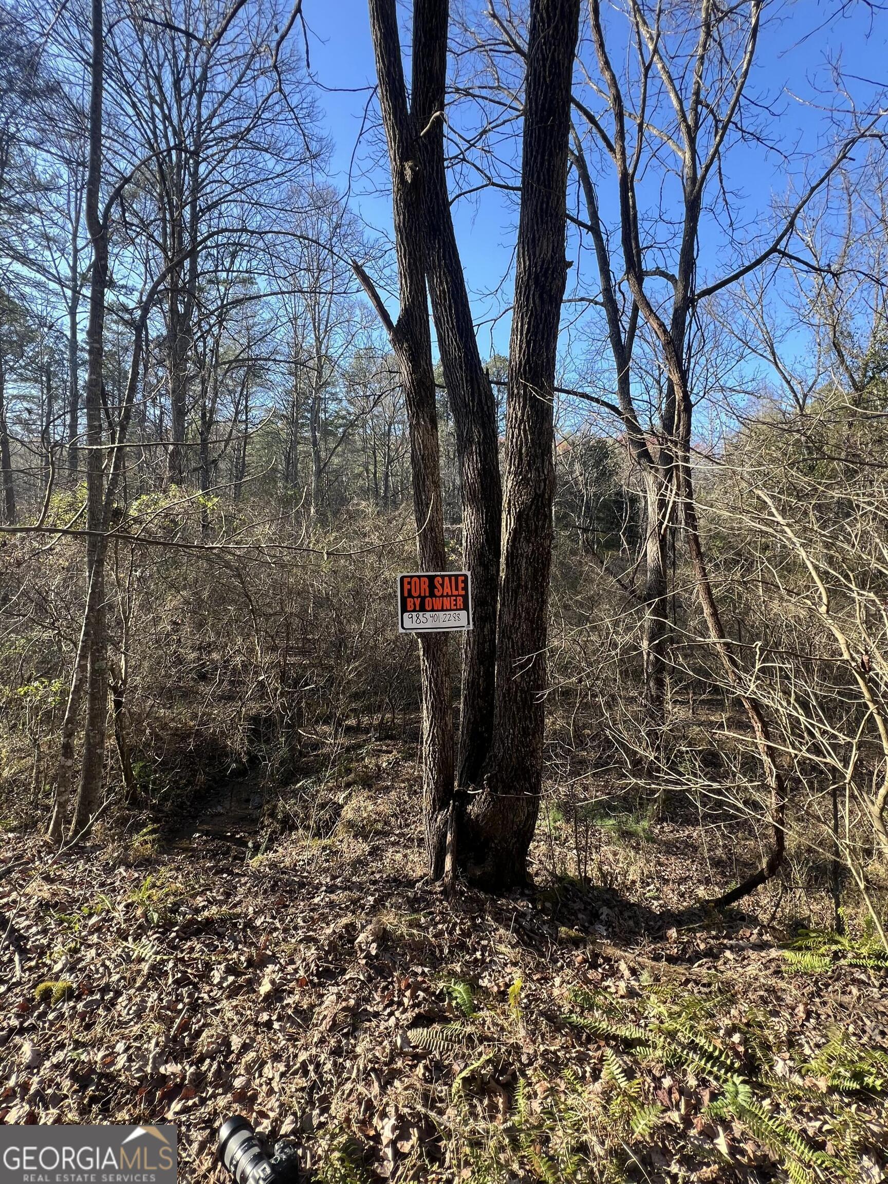 0 Scots Glen Property Photo 18