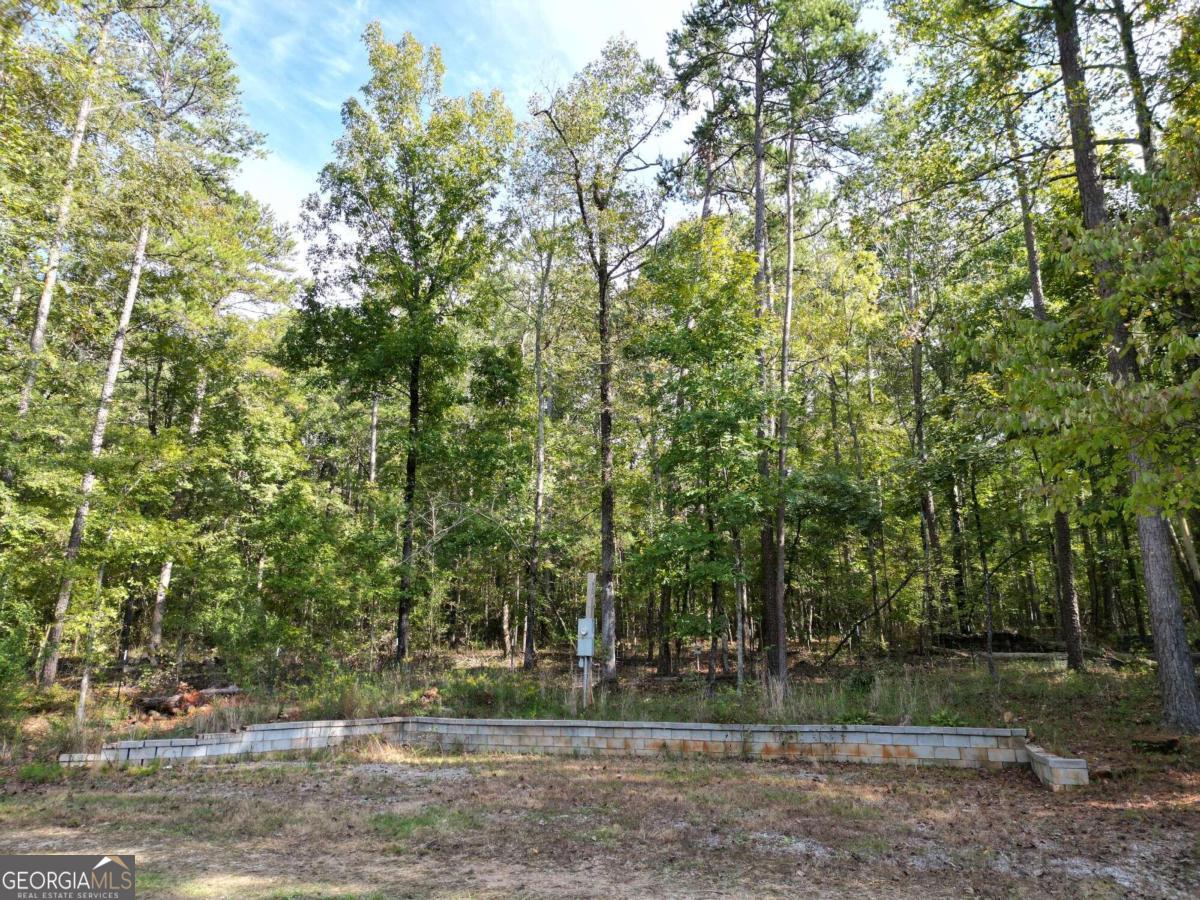 1490 Tappan Spur Road Property Photo 24