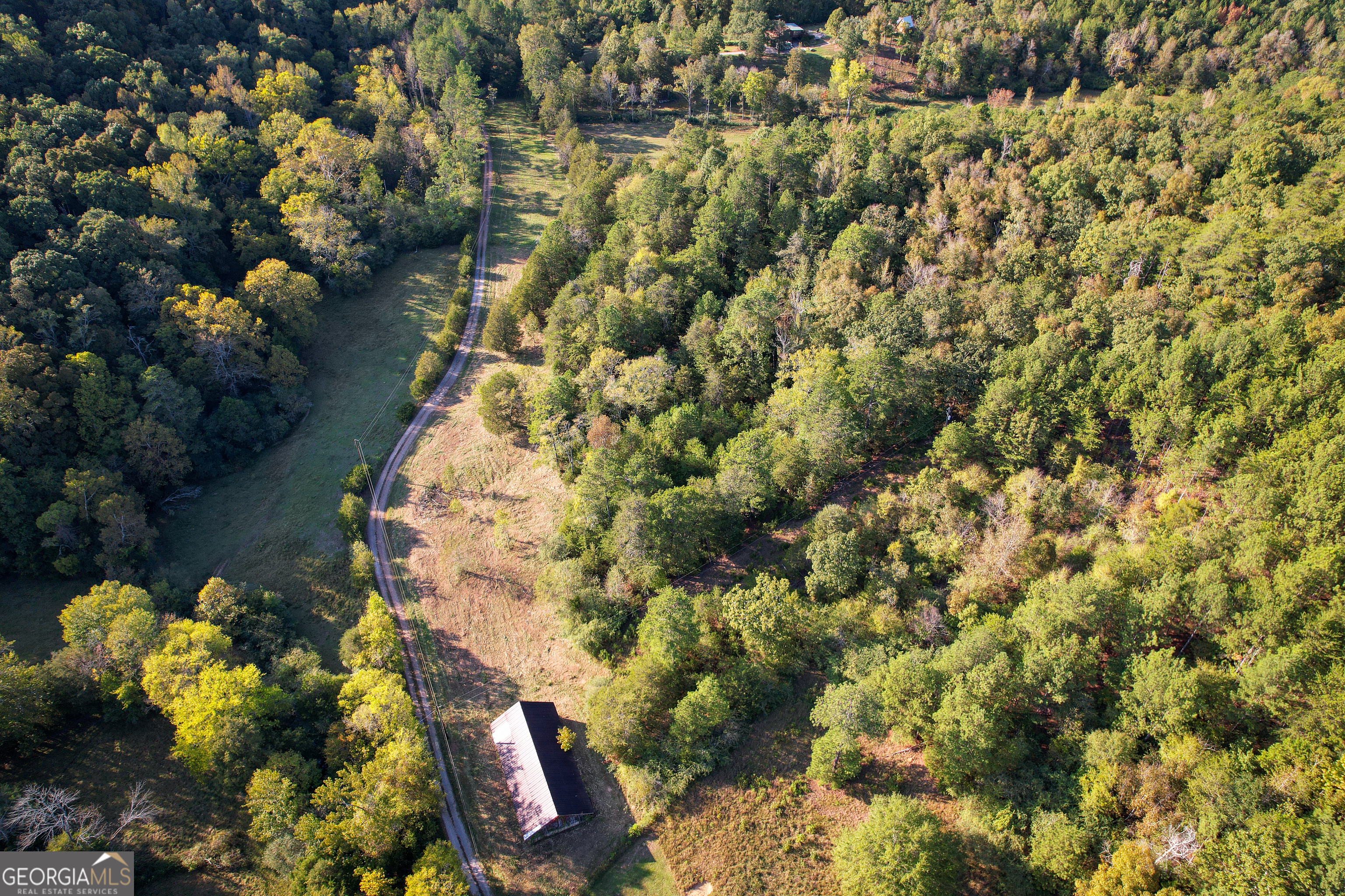 0 Webb Creek Road Property Photo 4