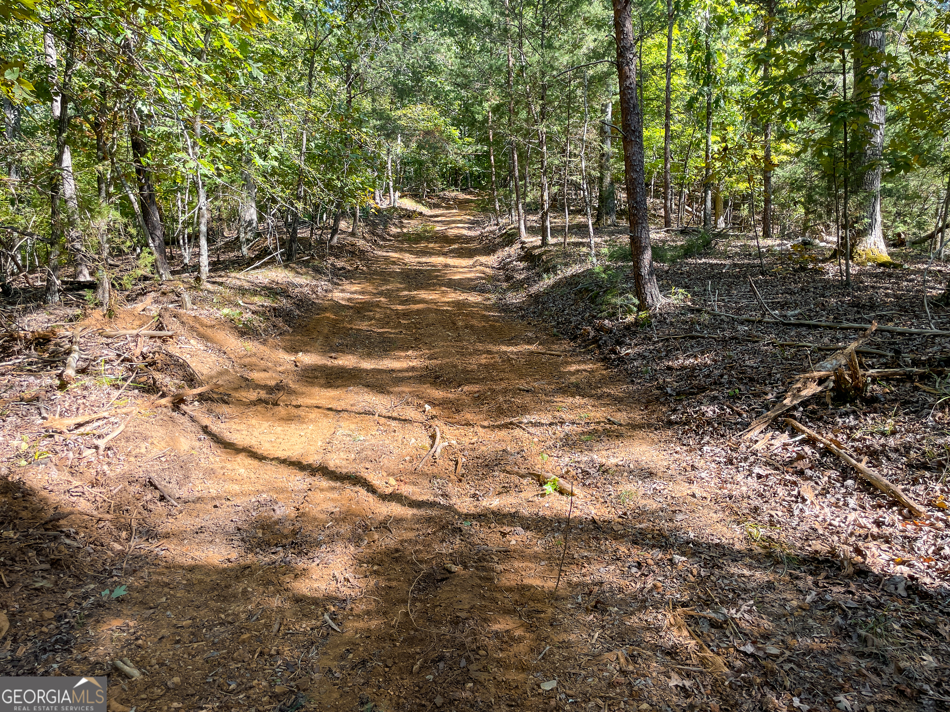 0 Webb Creek Road Property Photo 7