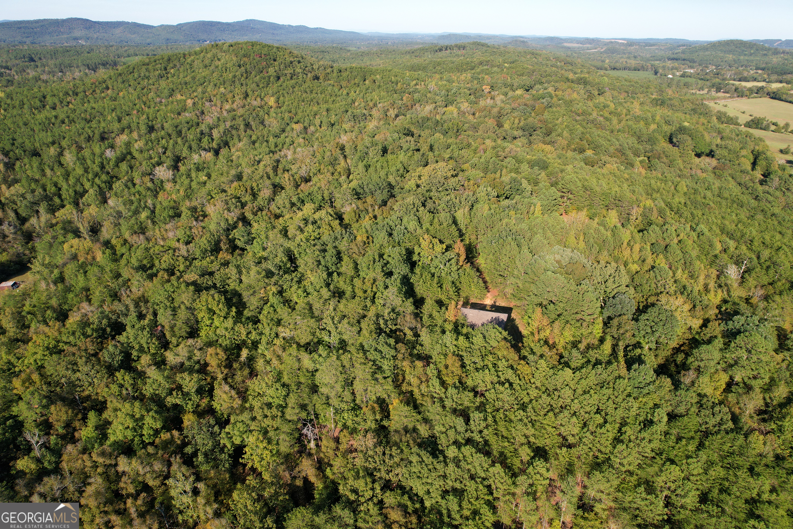 0 Webb Creek Road Property Photo 8