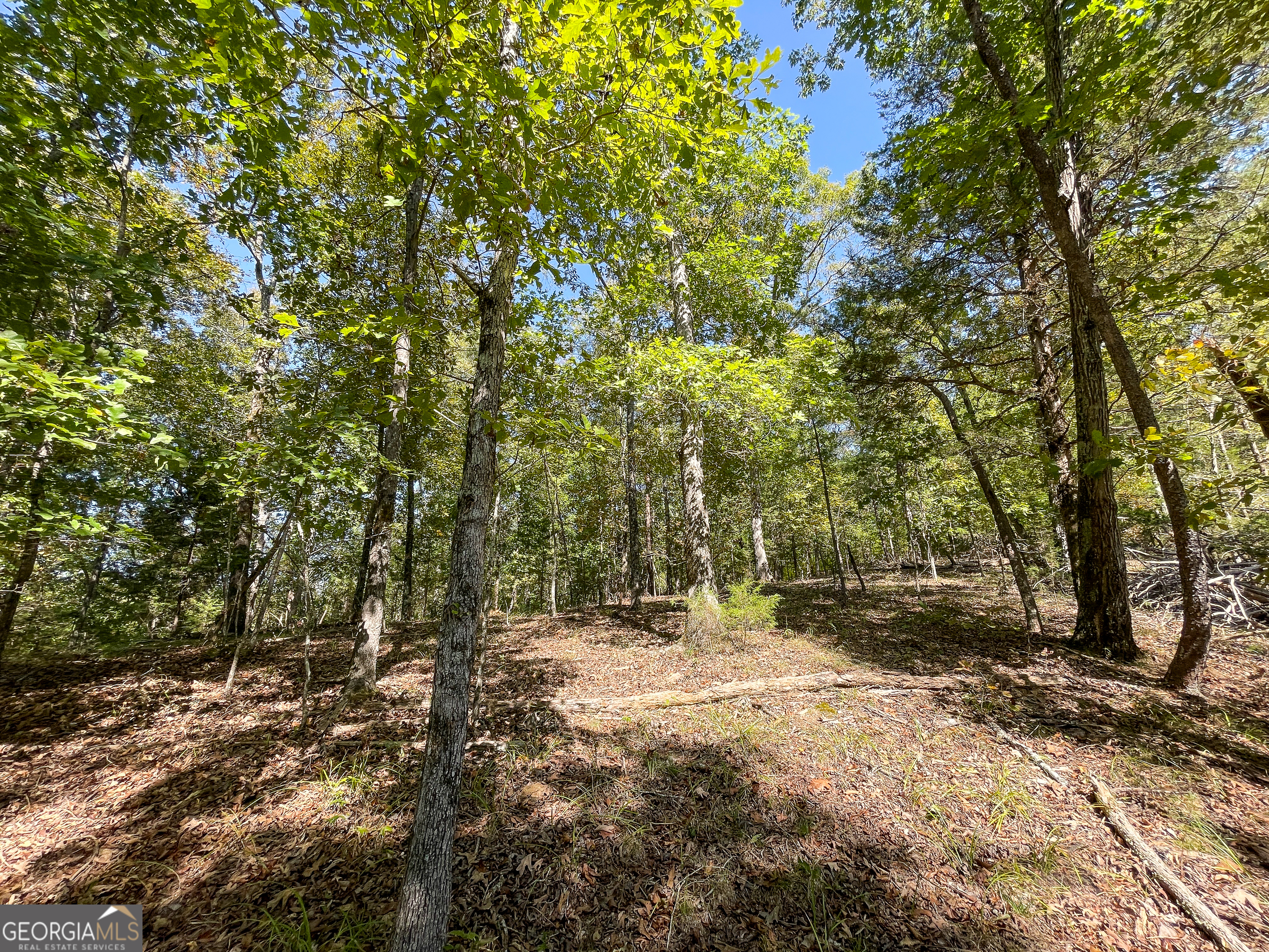 0 Webb Creek Road Property Photo 9