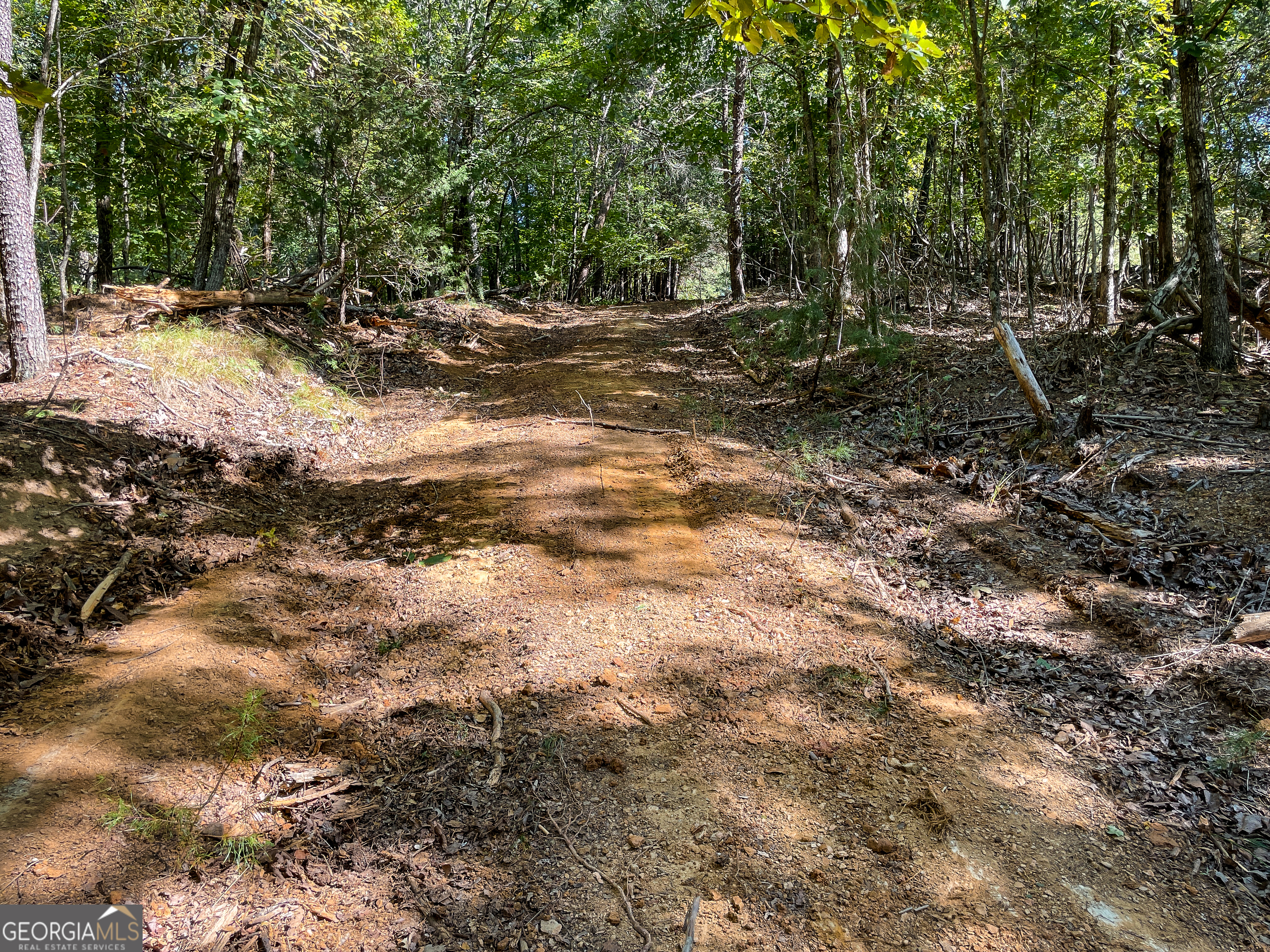 0 Webb Creek Road Property Photo 19