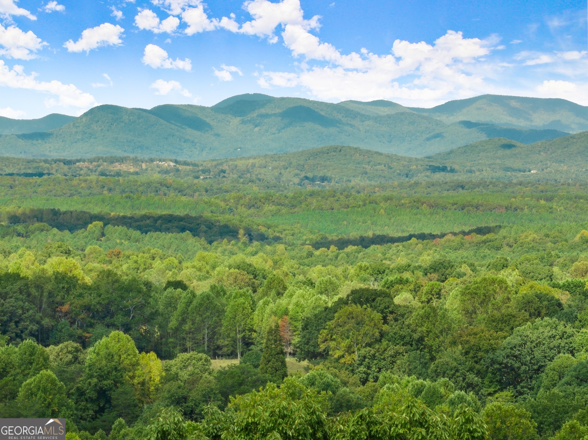 25 Long Mountain Trail Property Photo 1