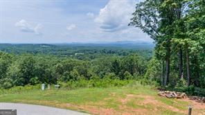 25 Long Mountain Trail Property Photo 2