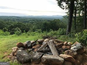 25 Long Mountain Trail Property Photo 3
