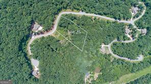 25 Long Mountain Trail Property Photo 4