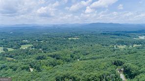 25 Long Mountain Trail Property Photo 5