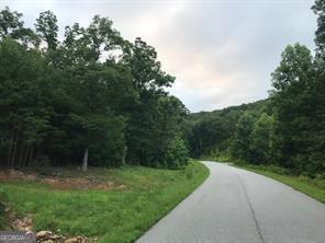 25 Long Mountain Trail Property Photo 8