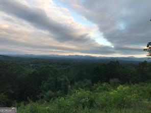 25 Long Mountain Trail Property Photo 9